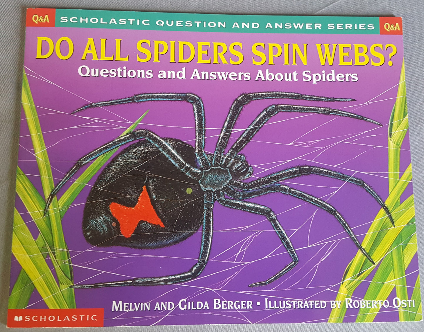 Do All Spiders Spin Webs?