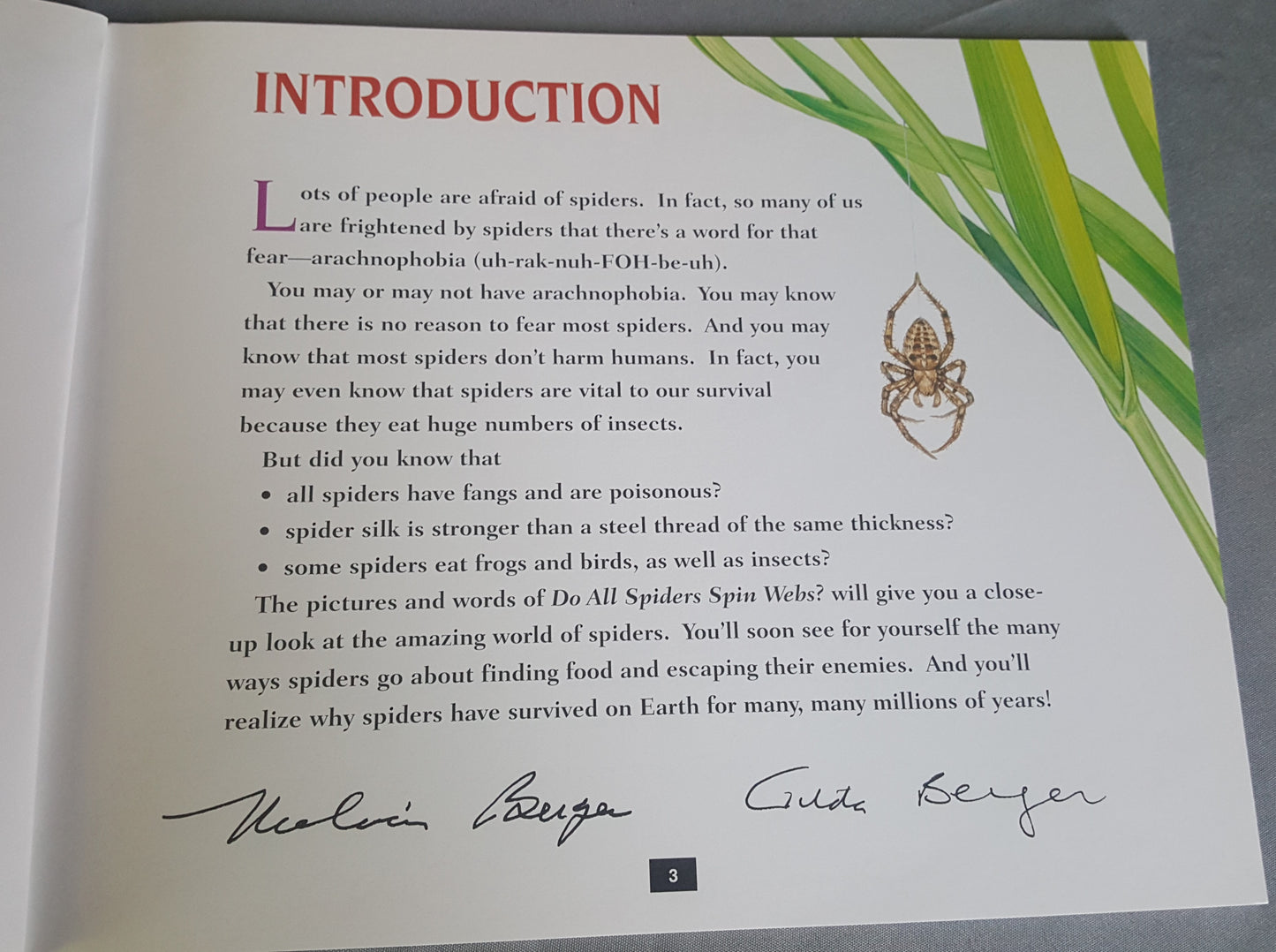 Do All Spiders Spin Webs?