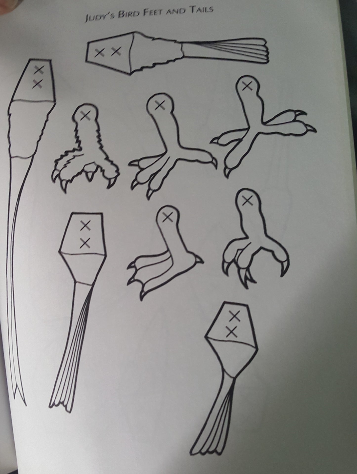 Sharing the Wonder of Birds with Kids