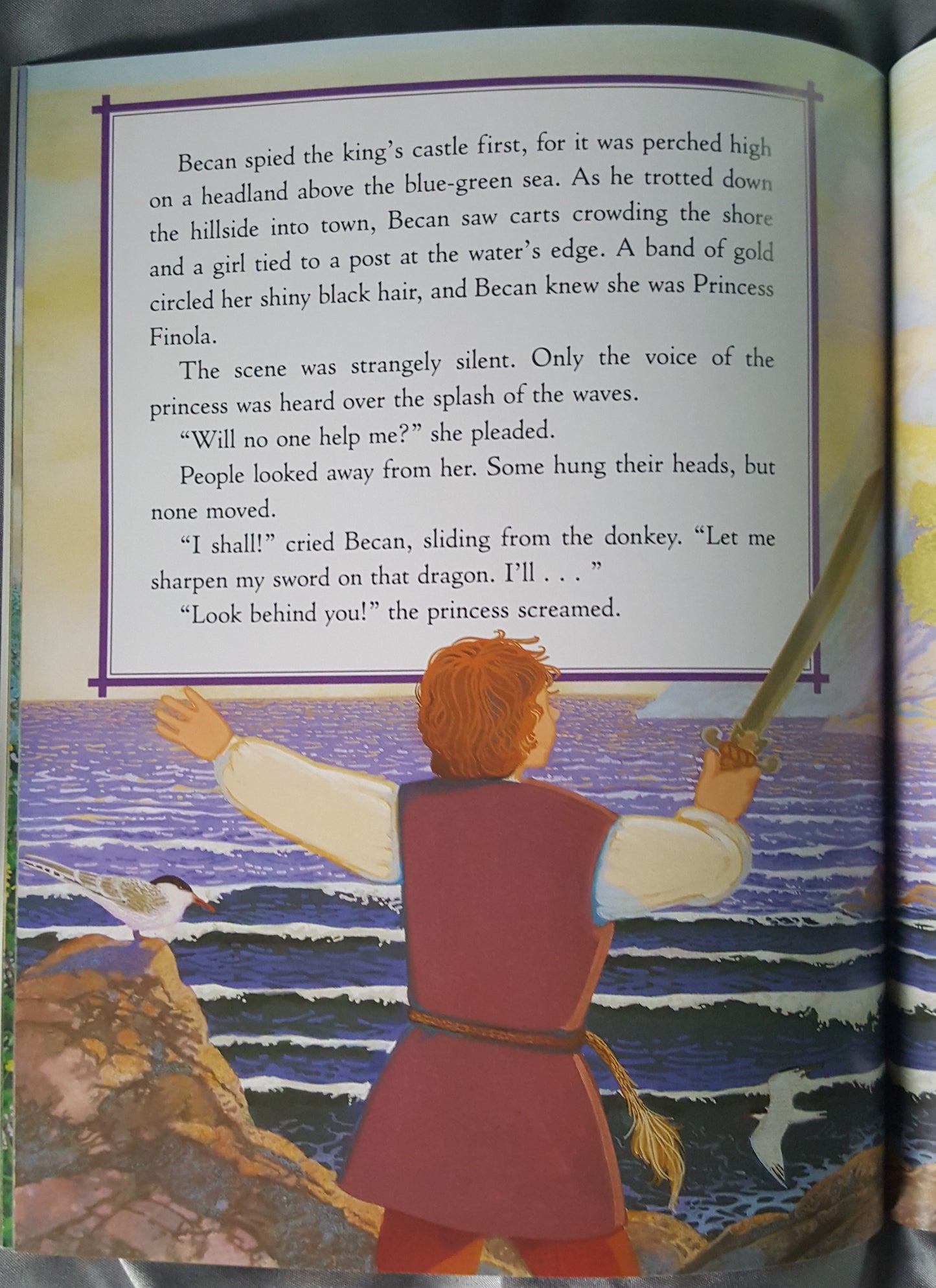 The Irish Cinderlad