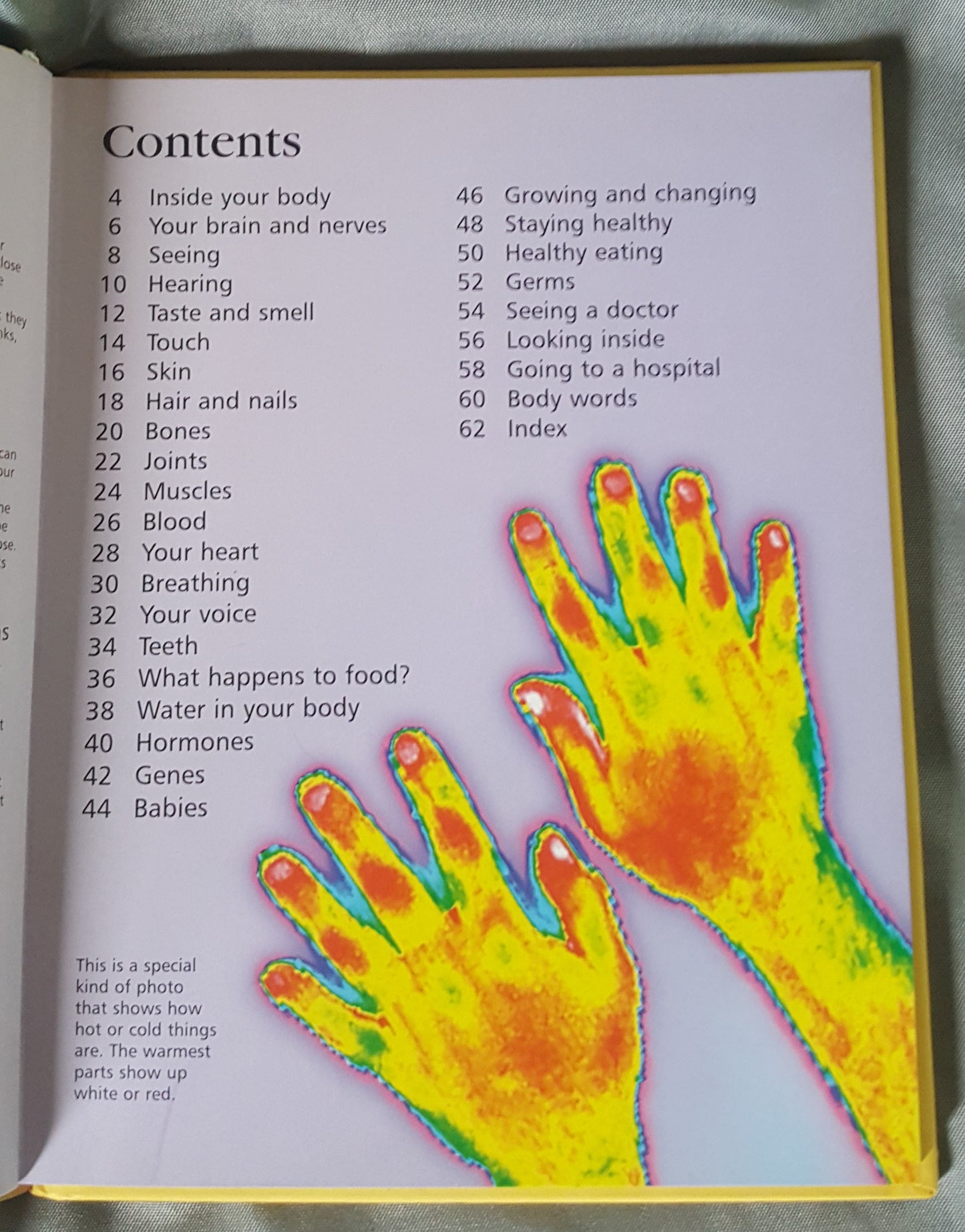 Usborne Little Encyclopedia of the Human Body