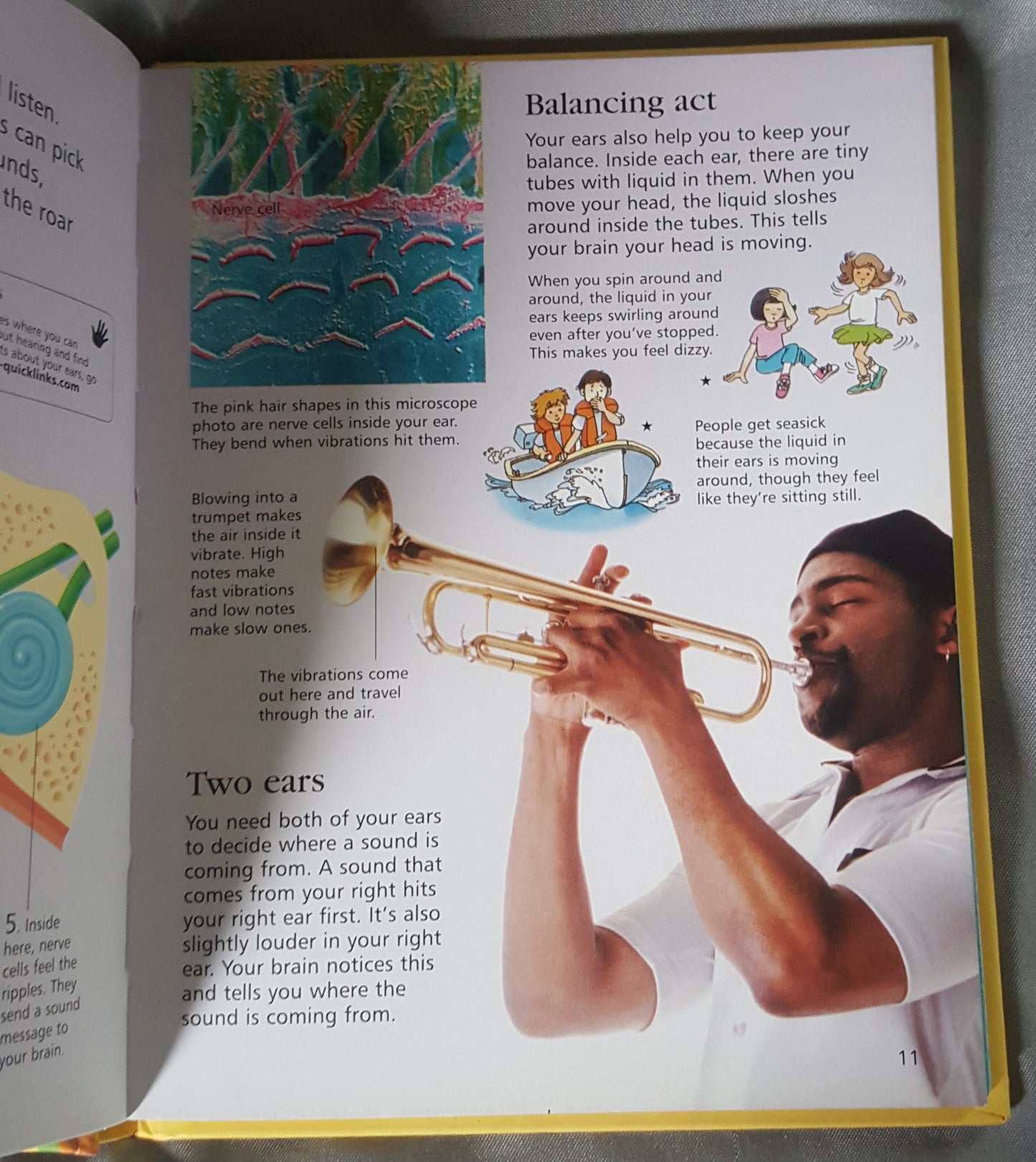 Usborne Little Encyclopedia of the Human Body