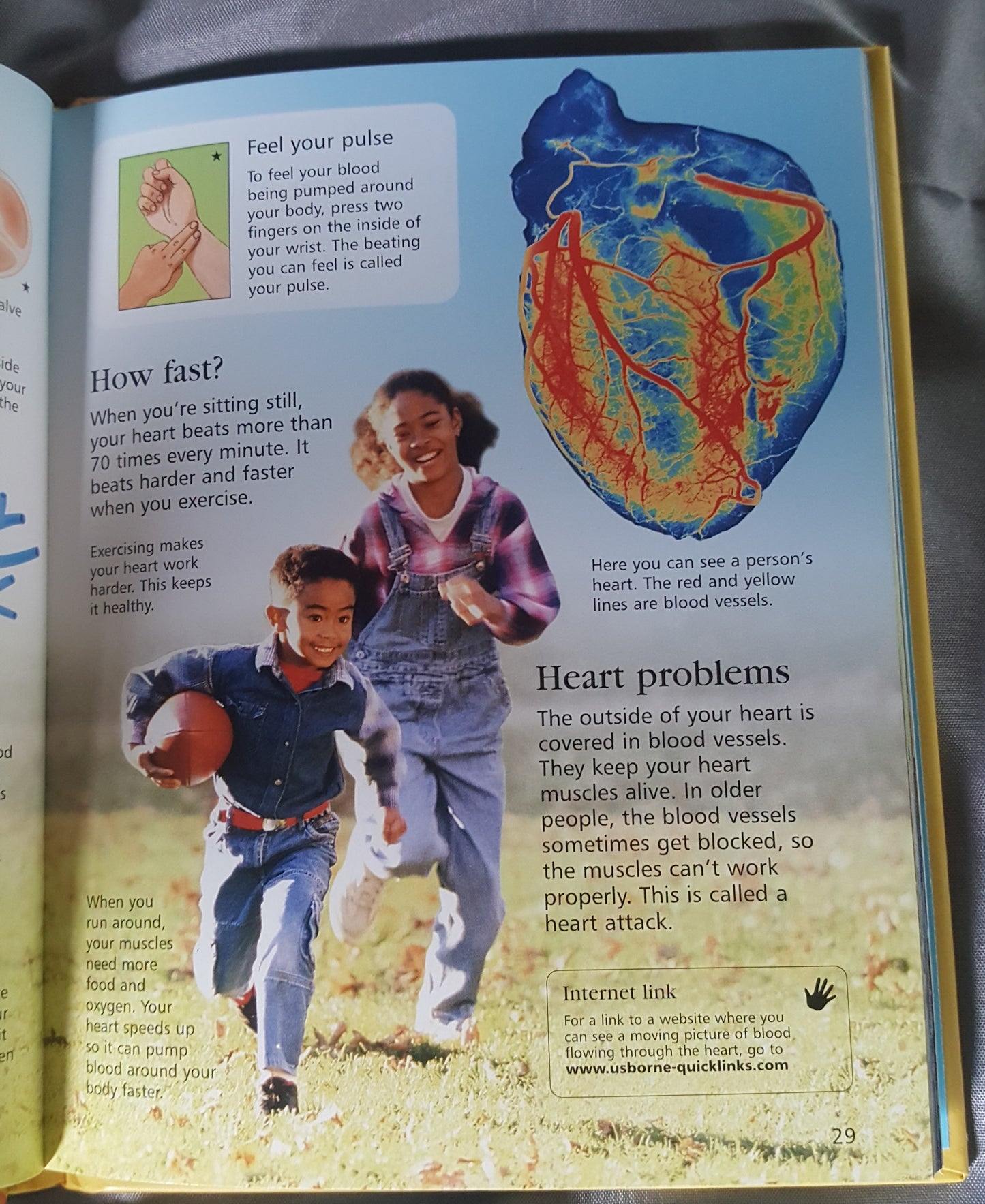 Usborne Little Encyclopedia of the Human Body