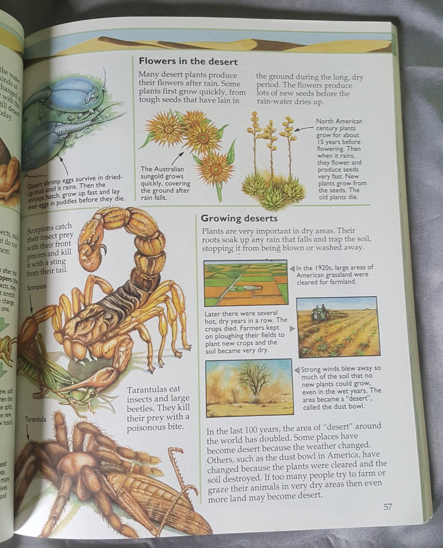 Usborne Living World Encyclopedia