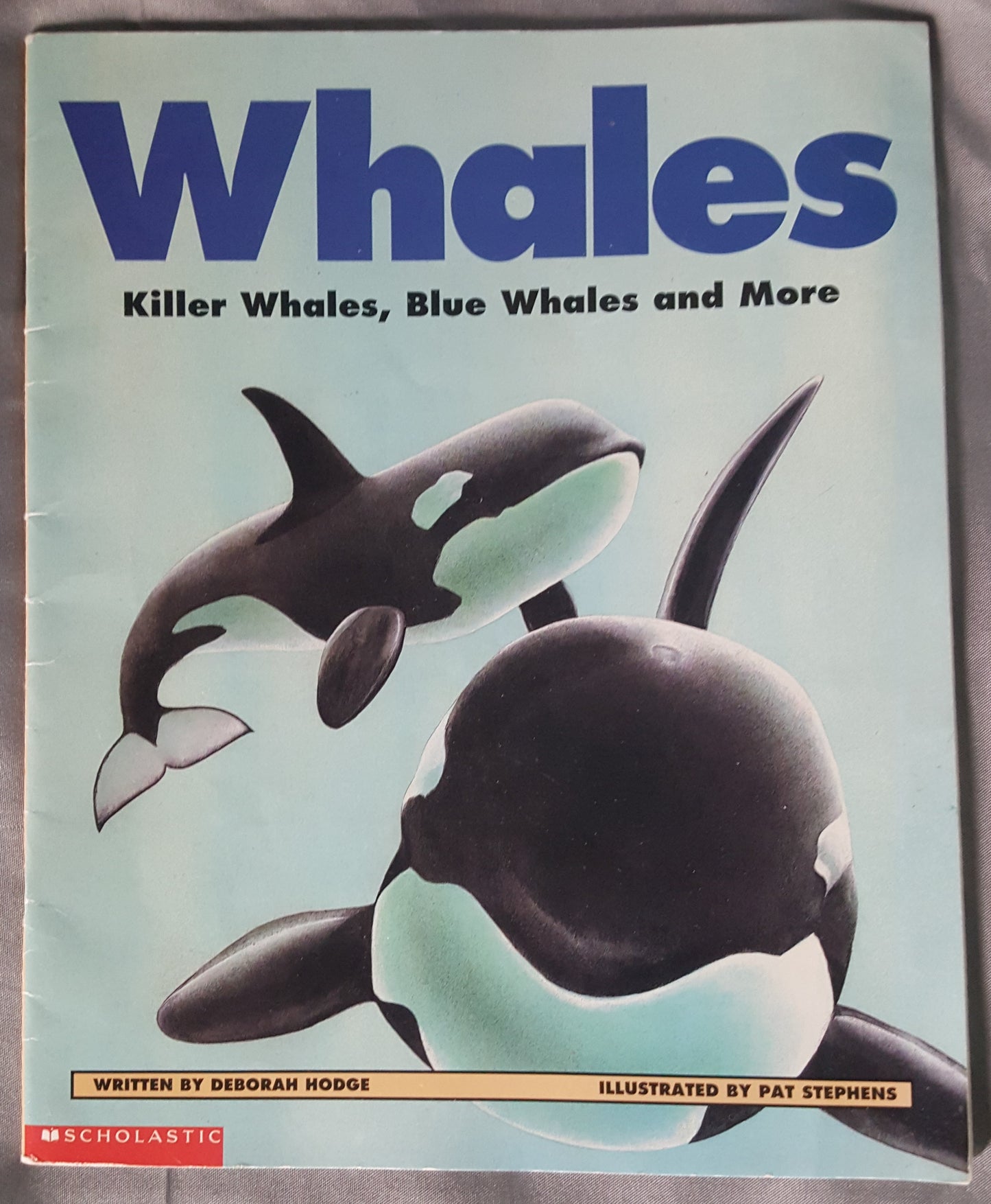 Whales - Killer Whales, Blue Whales and More