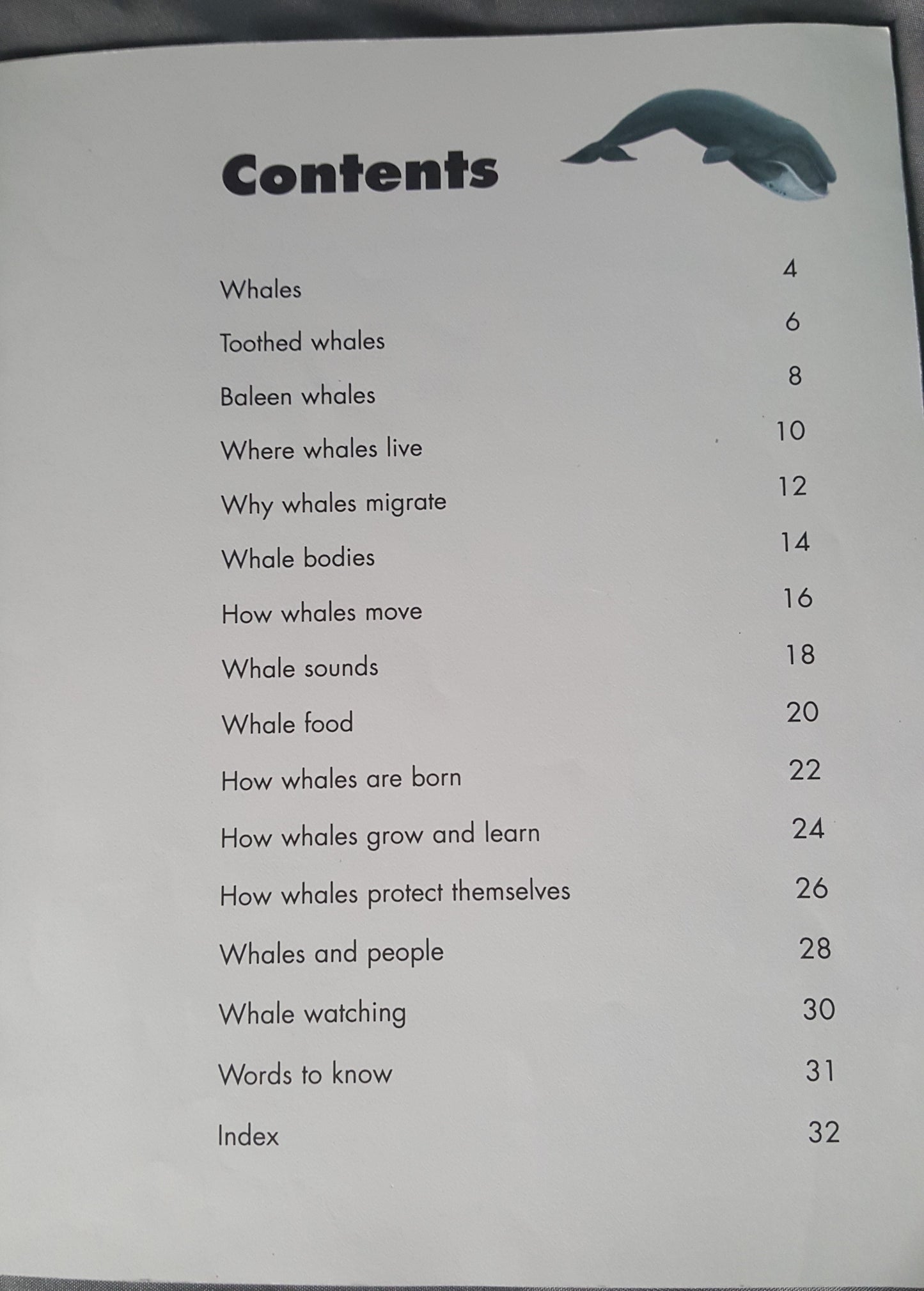 Whales - Killer Whales, Blue Whales and More