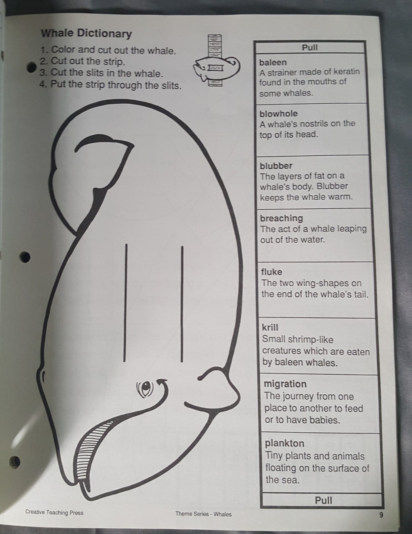 Whales Unit Study