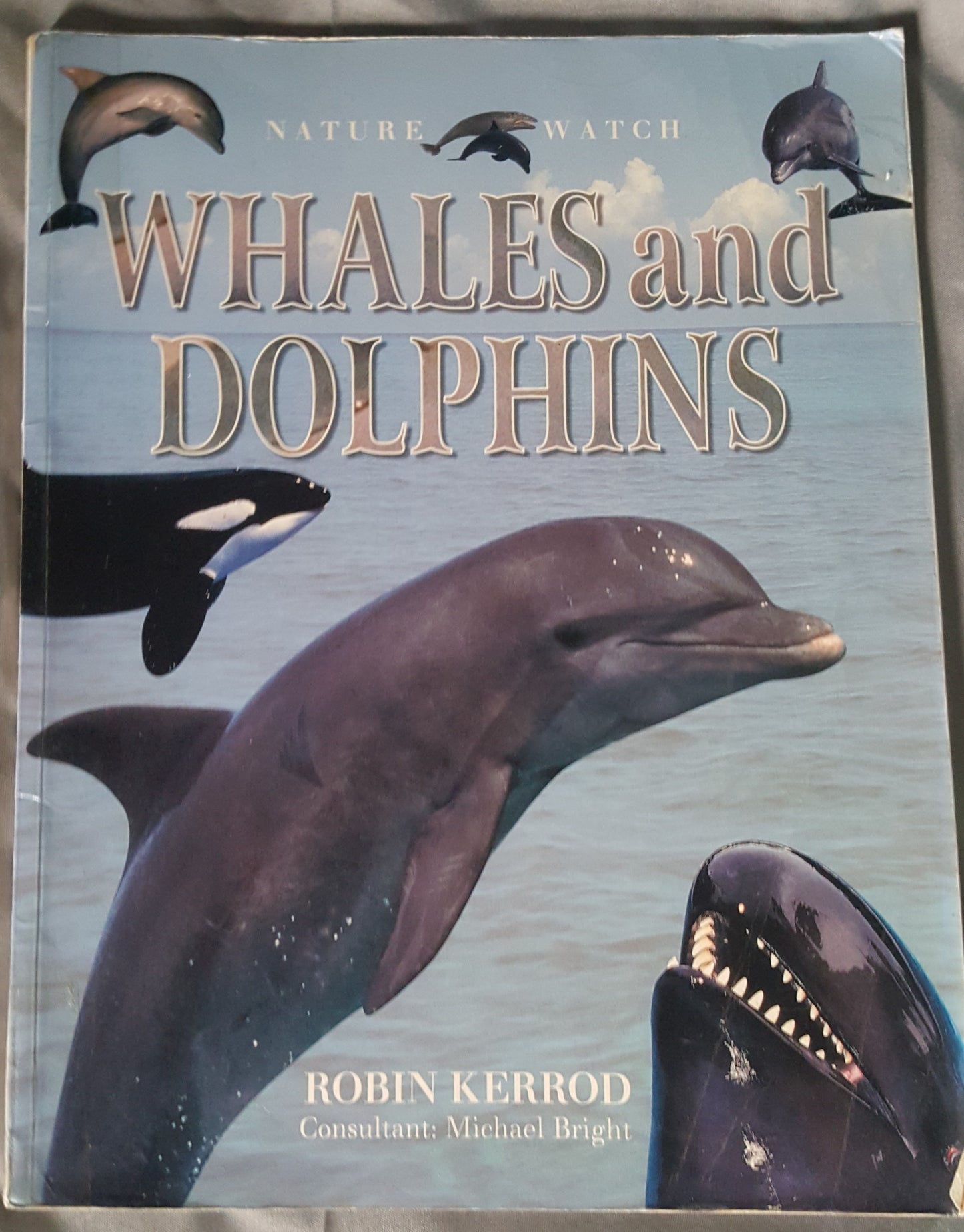 Whales and Dolphins Nature Watch