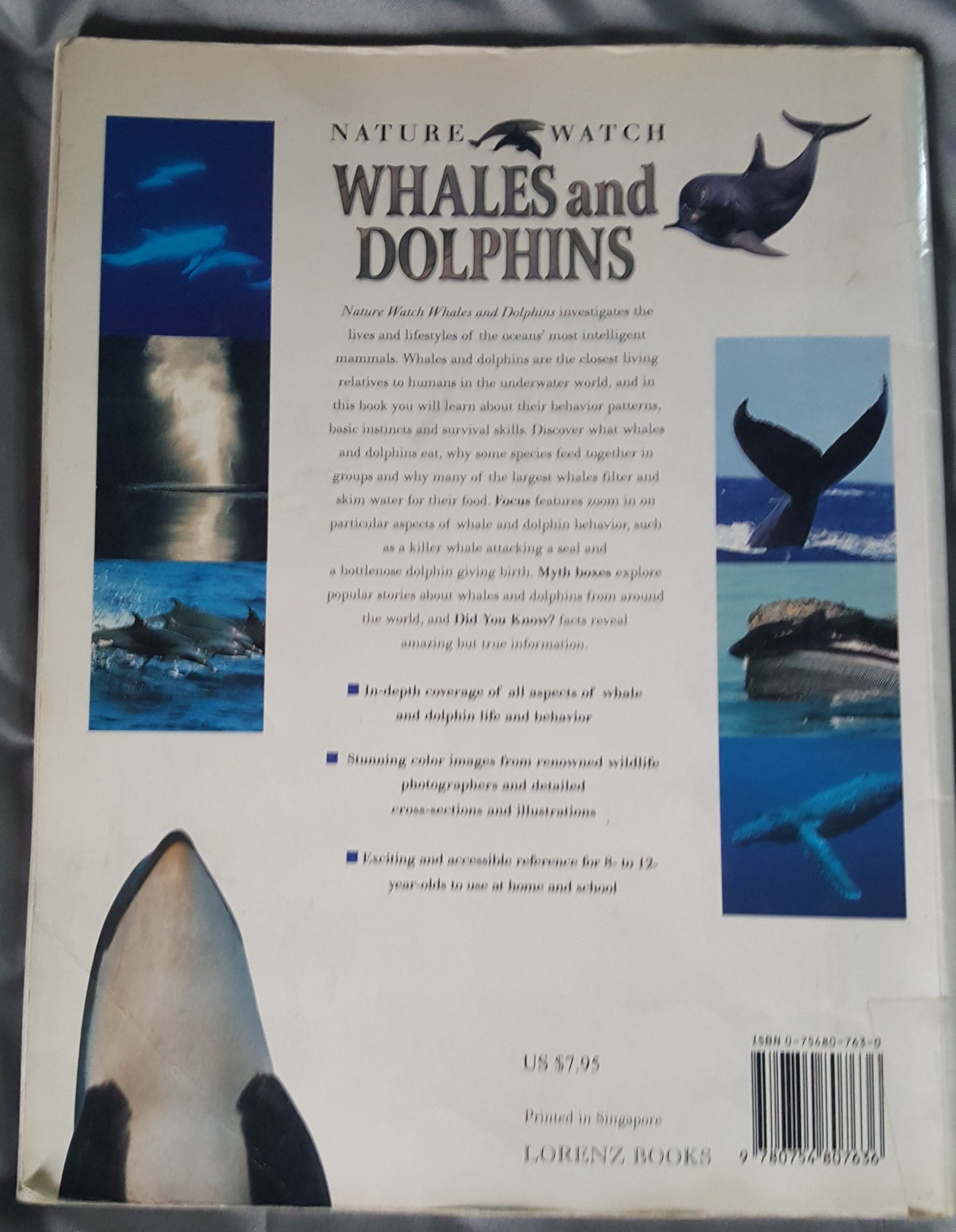 Whales and Dolphins Nature Watch