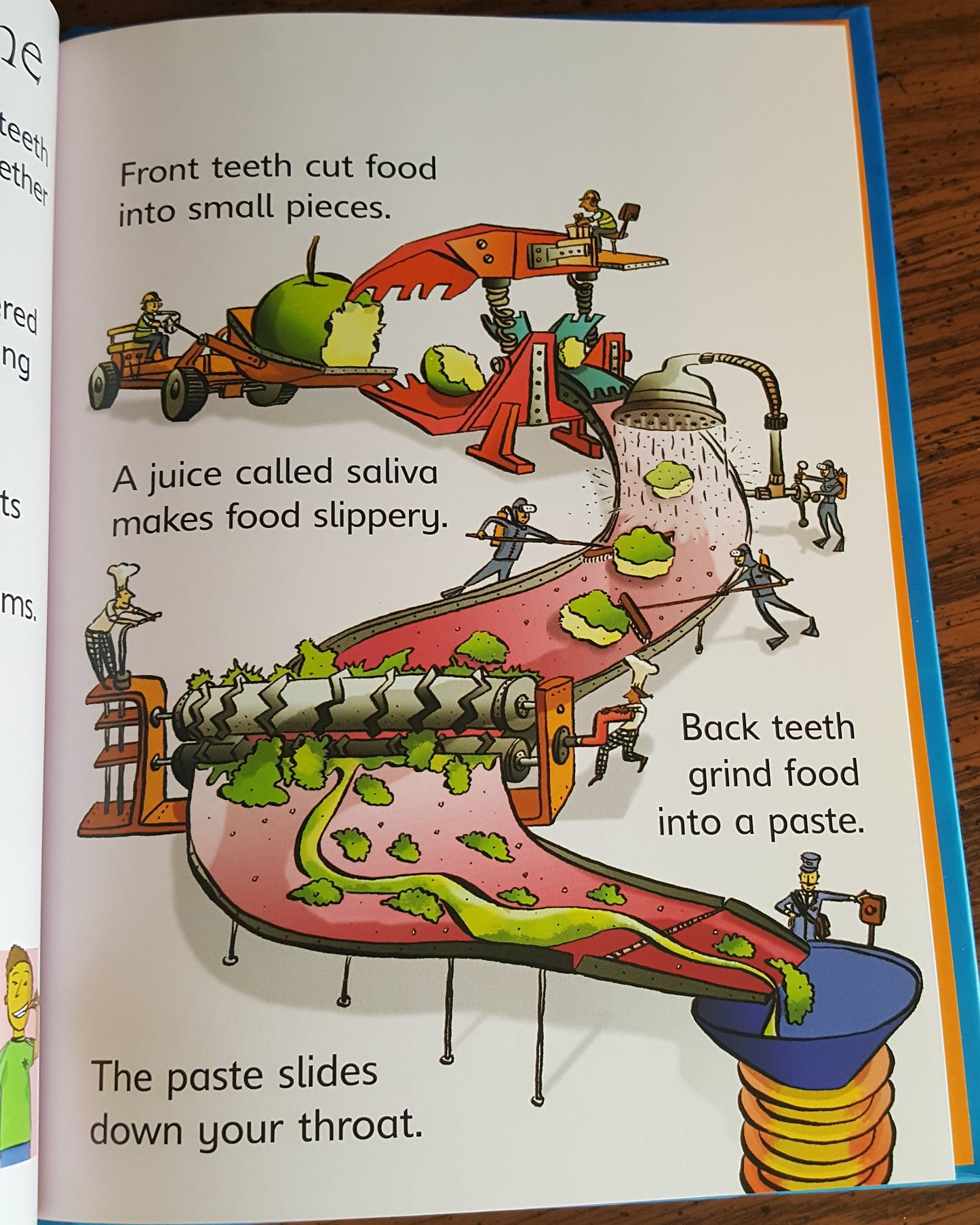 Usborne Your Body