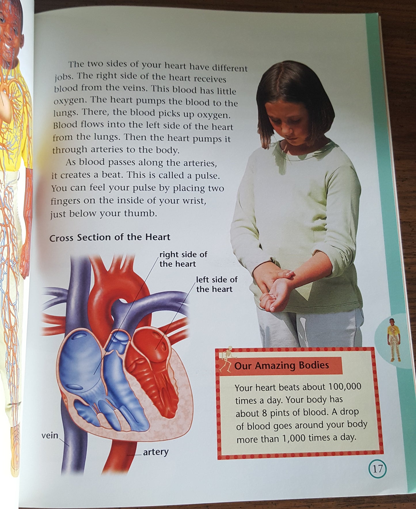 All About the Body DK