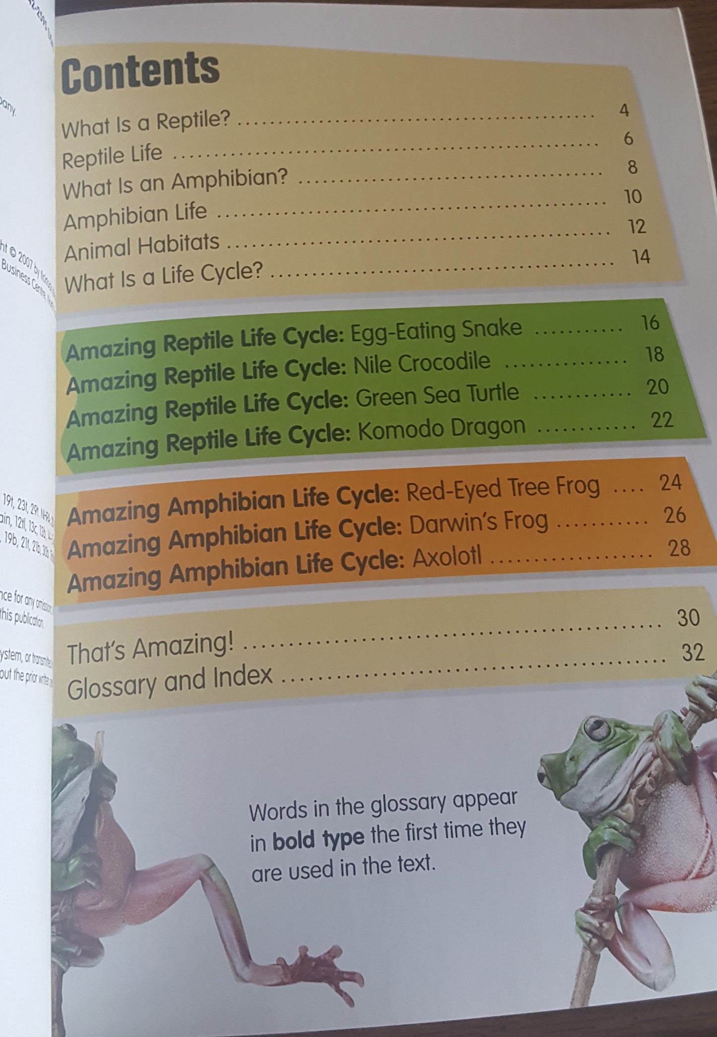 Amazing Reptiles and Amphibians