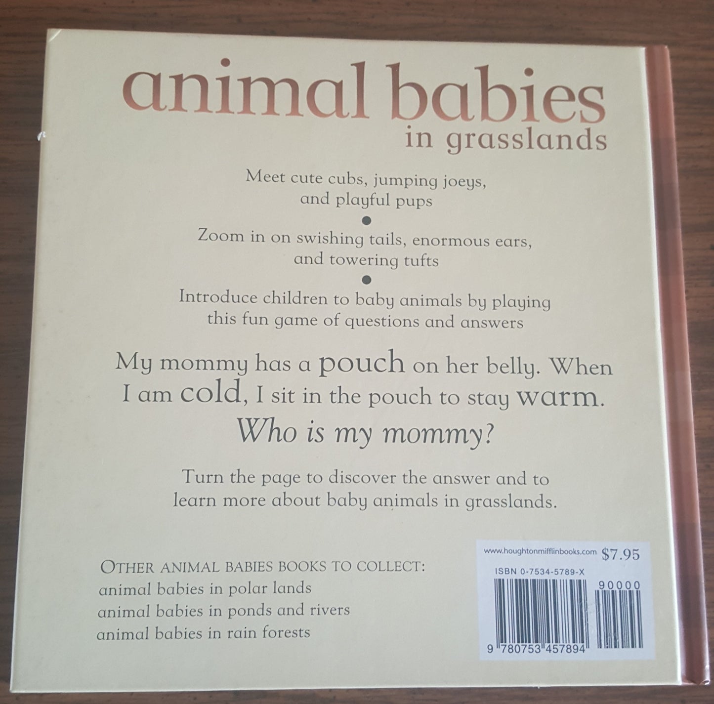 Animal Babies in Grasslands