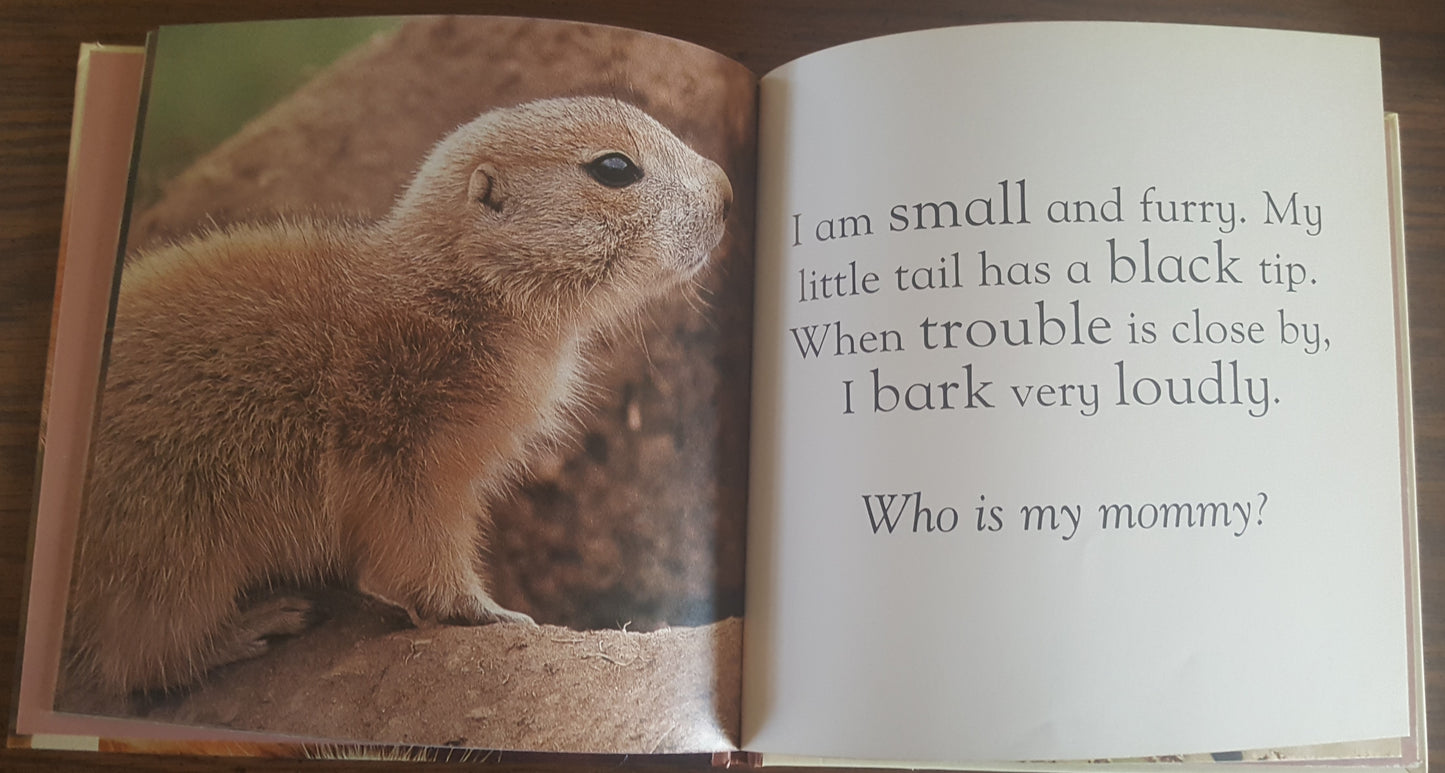Animal Babies in Grasslands