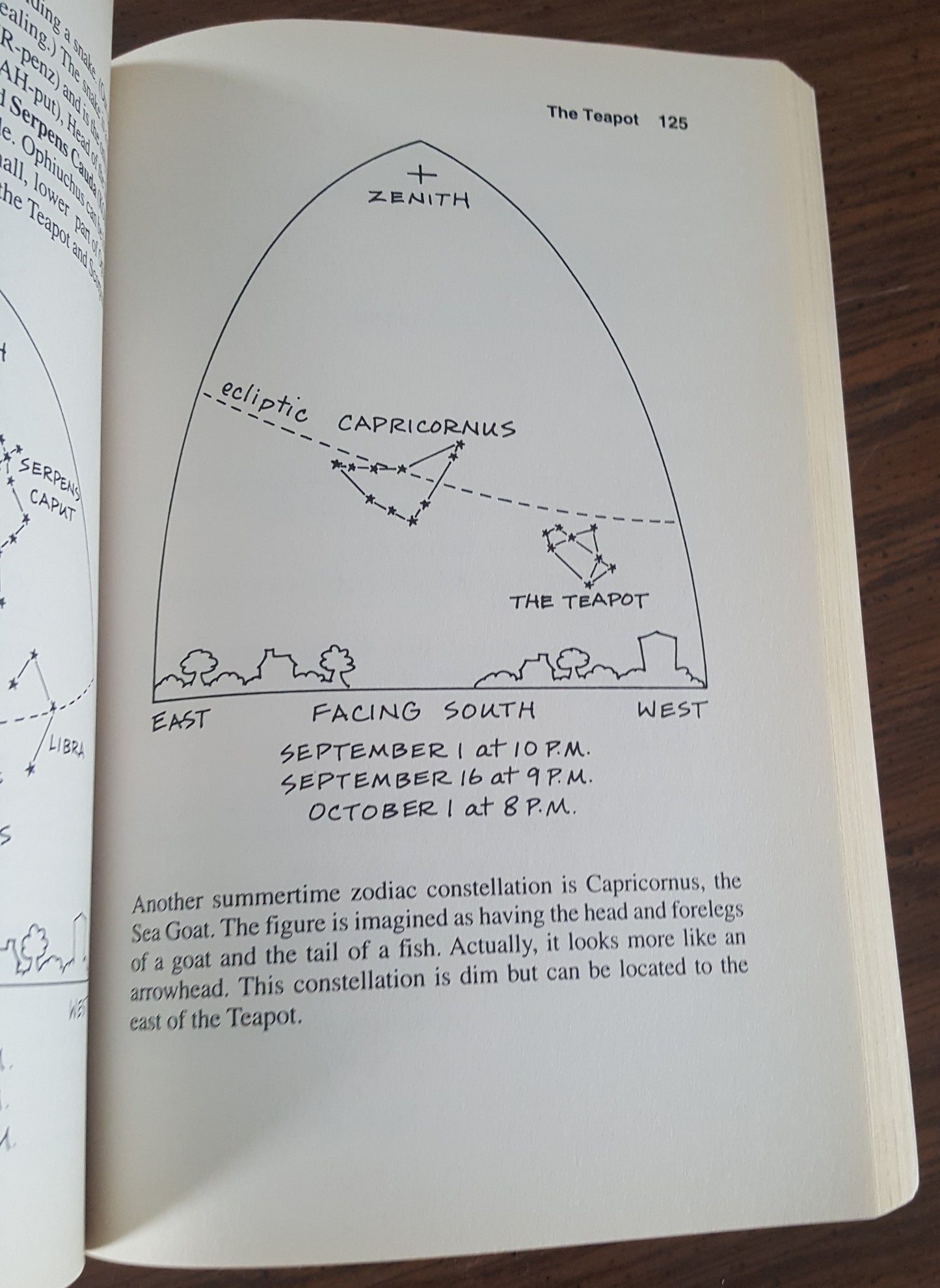 Constellations for Every Kid
