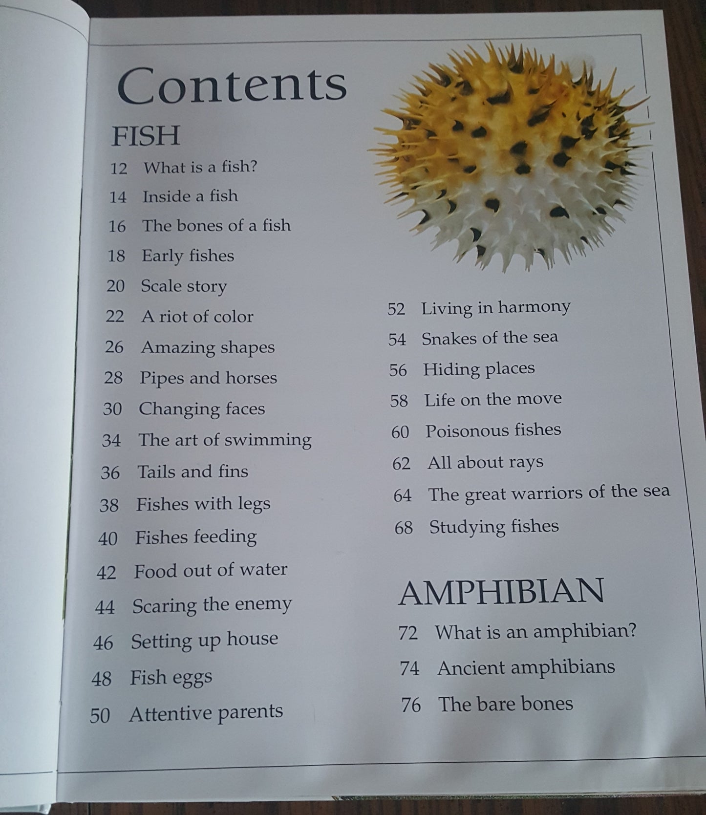 DK Eyewitness Books Animal Kingdoms