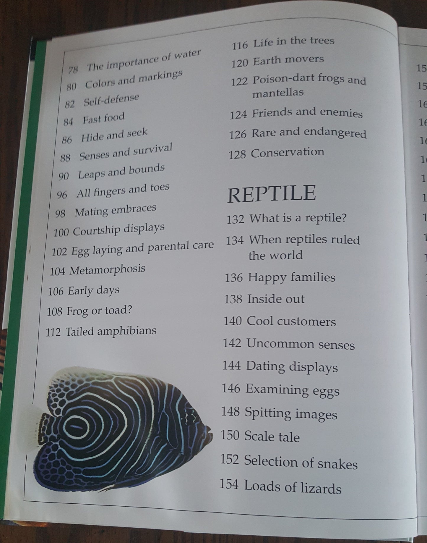DK Eyewitness Books Animal Kingdoms