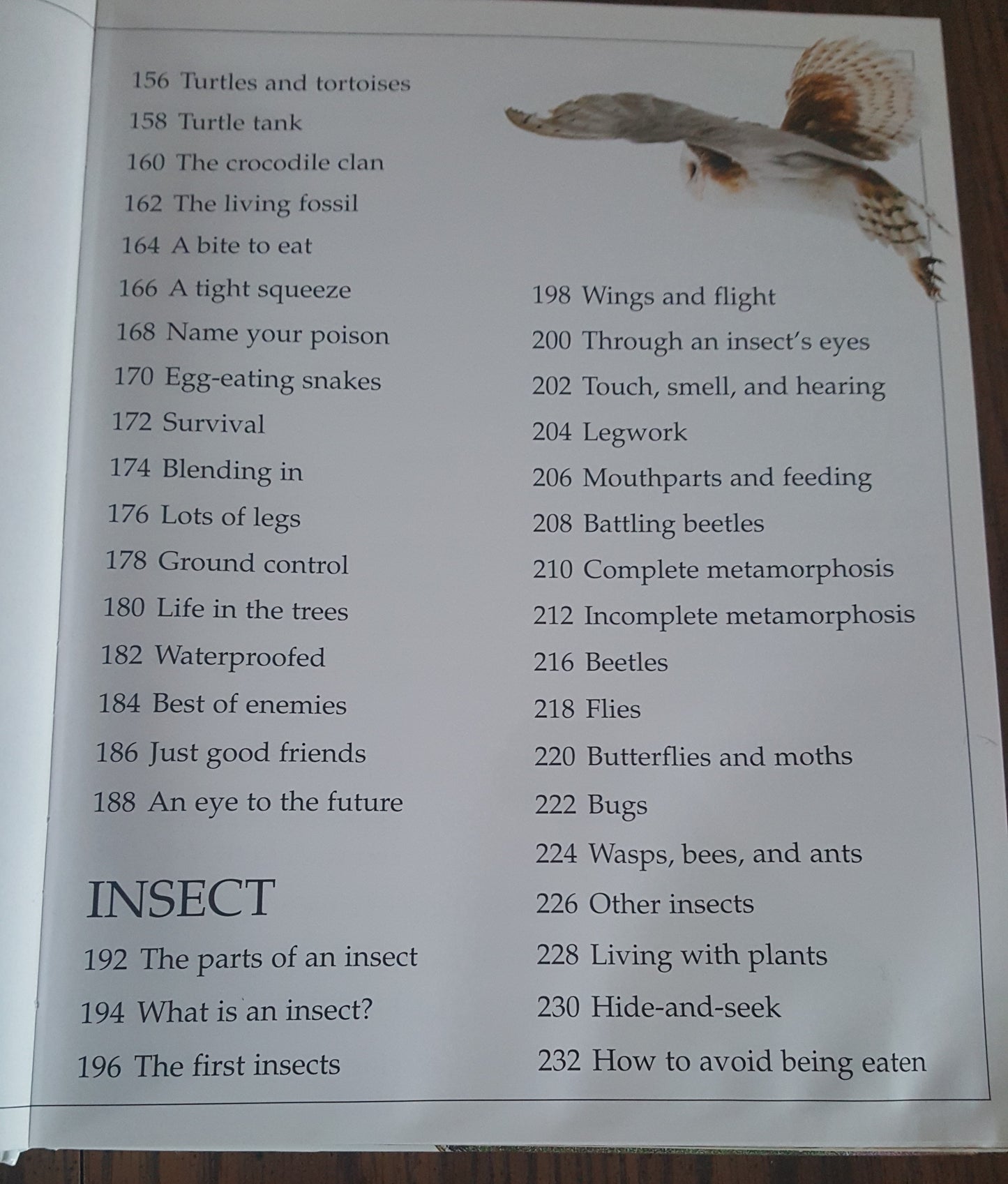 DK Eyewitness Books Animal Kingdoms