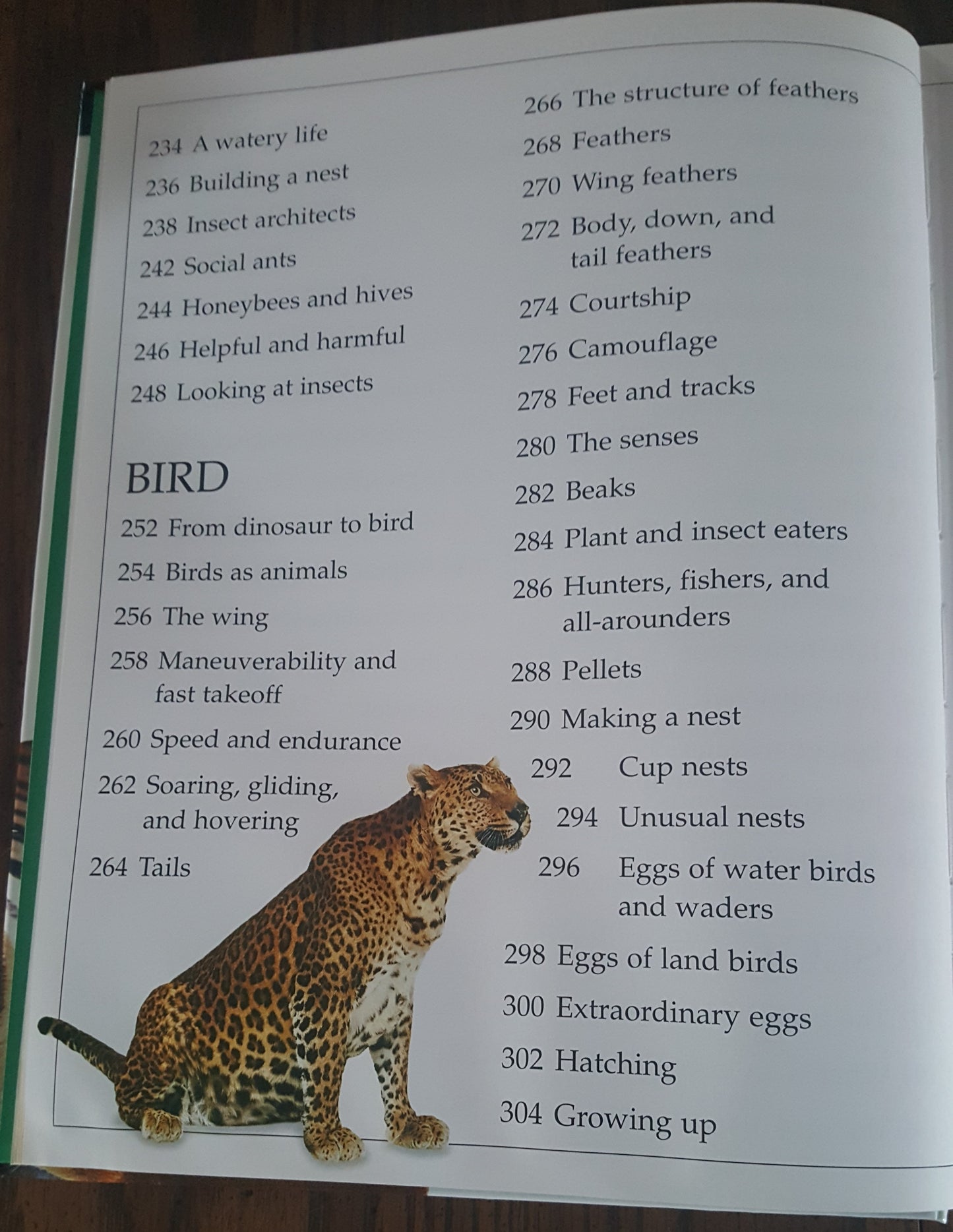 DK Eyewitness Books Animal Kingdoms