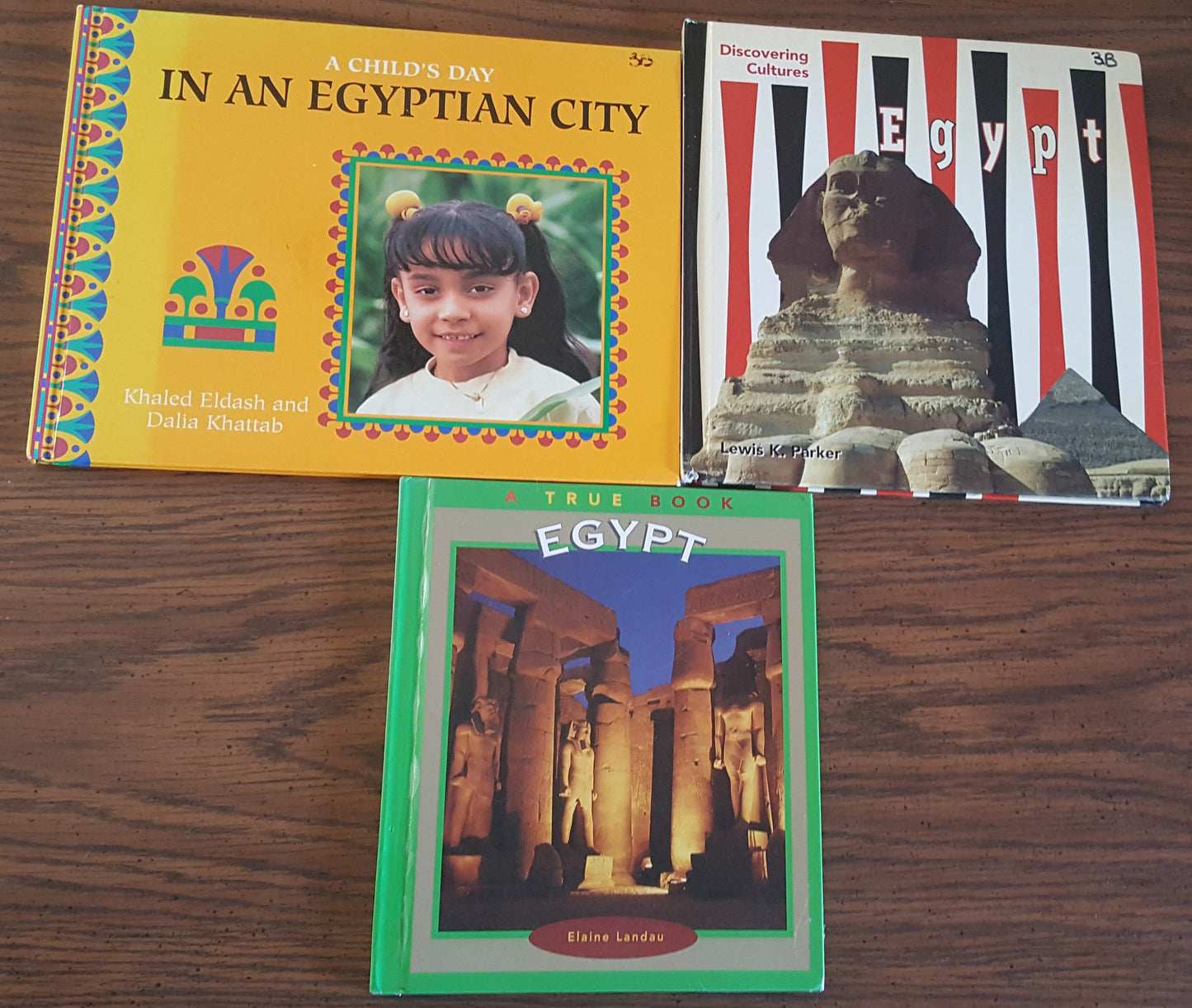 Egypt 3 book set - In an Egyptian City &Egypt A True Book & Egypt Discovering Cultures