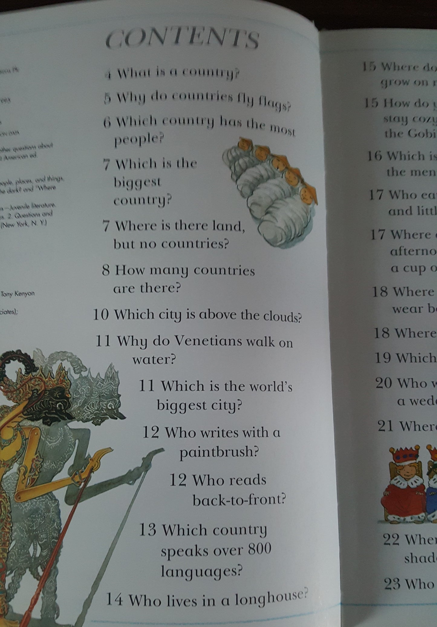 I Wonder Why Countries Fly Flags