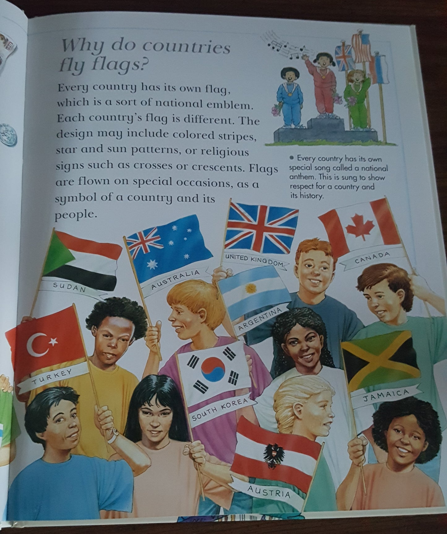 I Wonder Why Countries Fly Flags