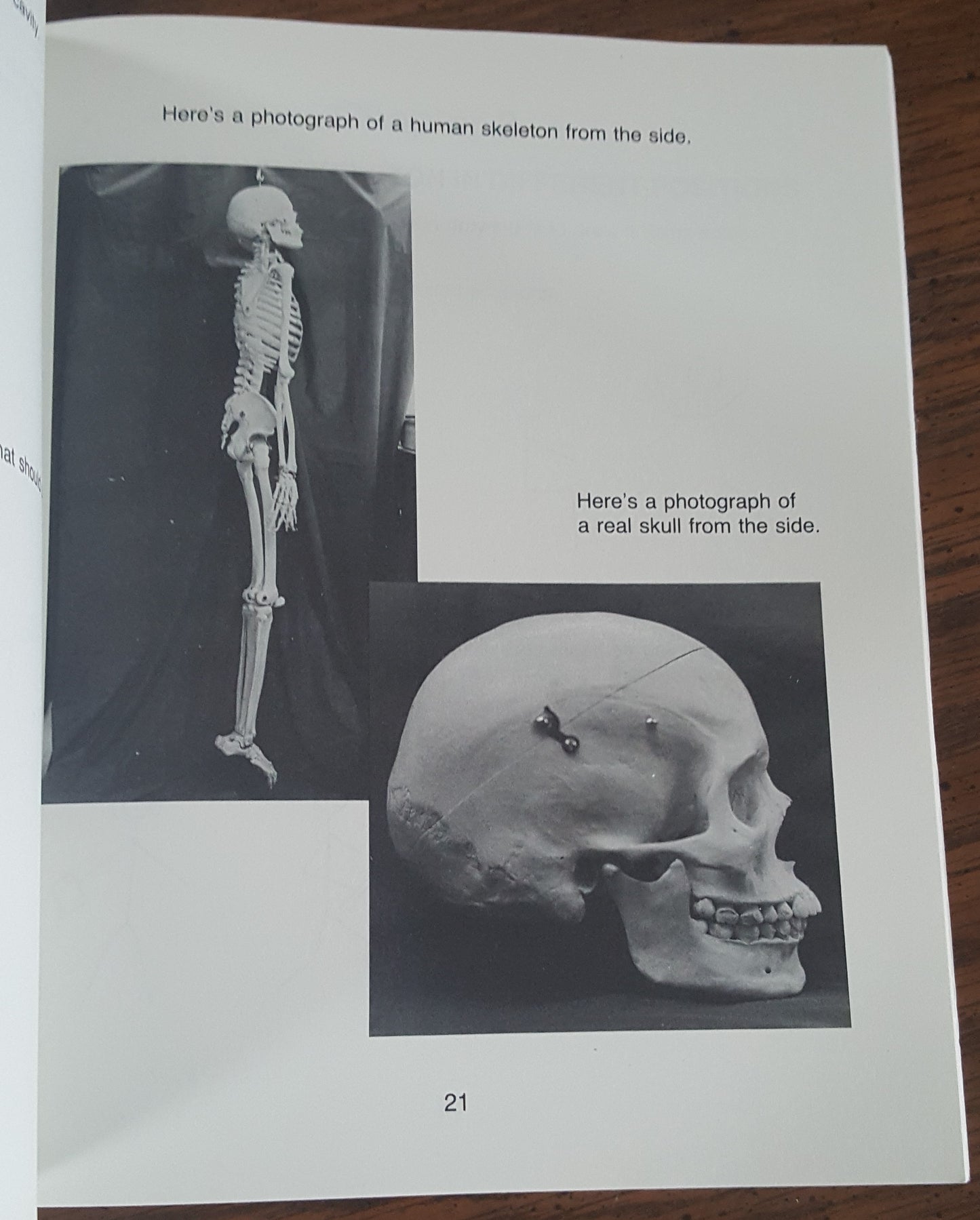 Rattle Your Bones