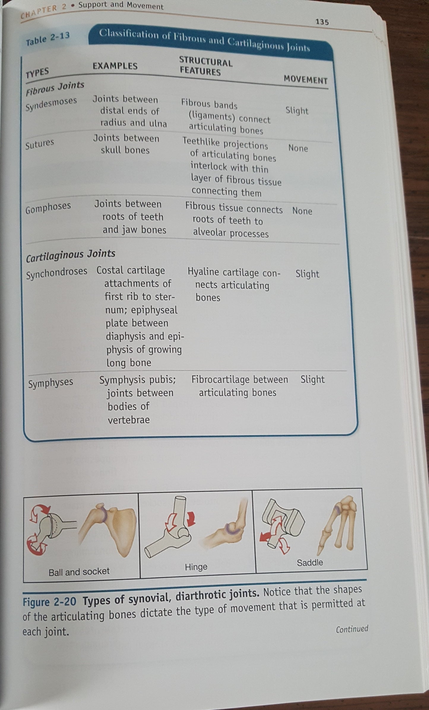 Survival Guide for Anatomy and Physiology Mosby