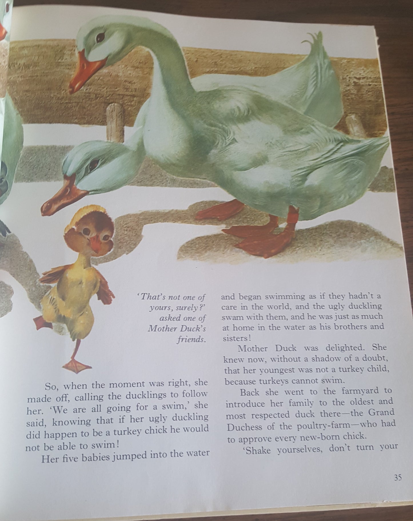 The Best Fairy Tales of Grimm and Andersen