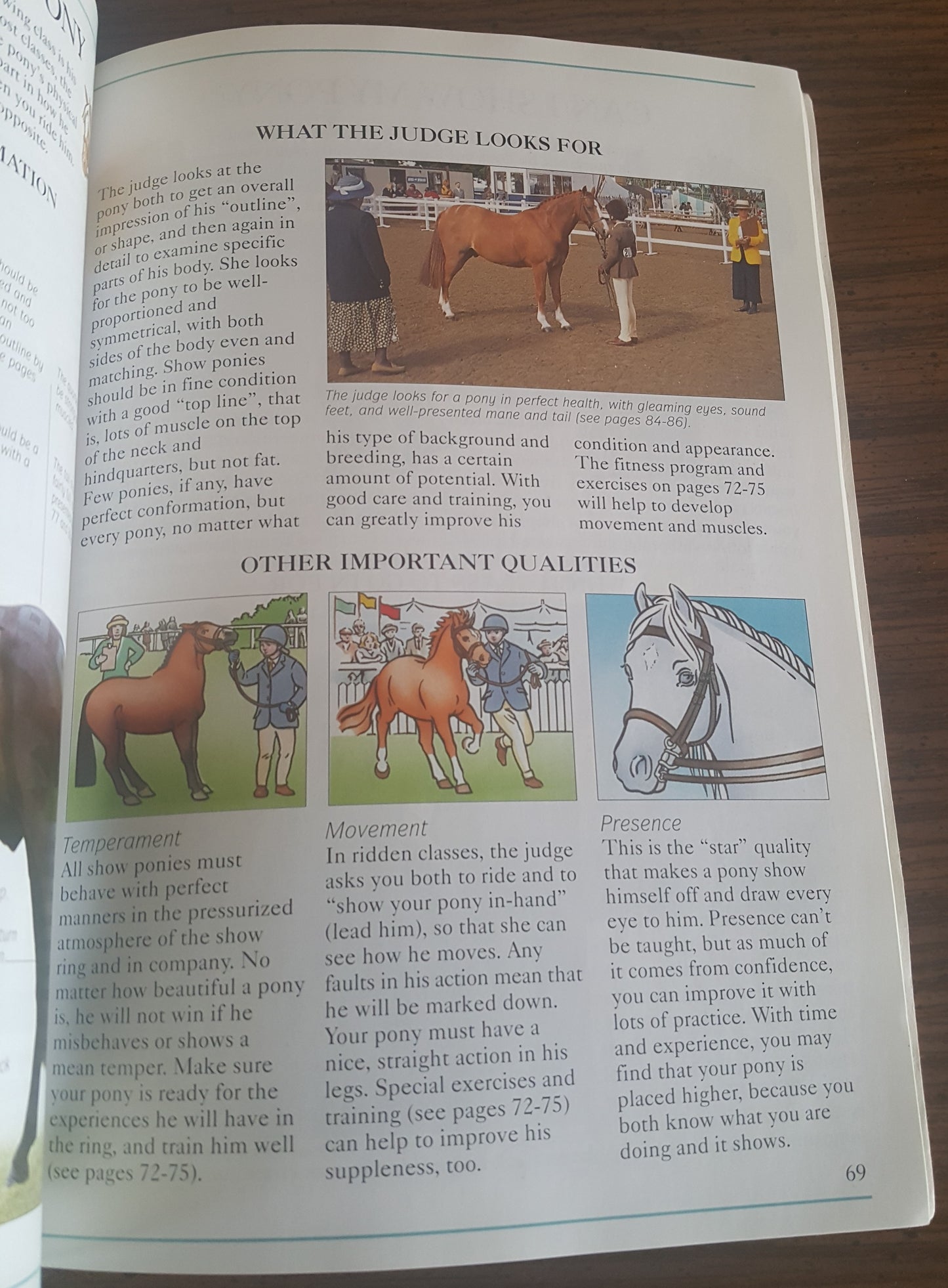 Usborne Riding School