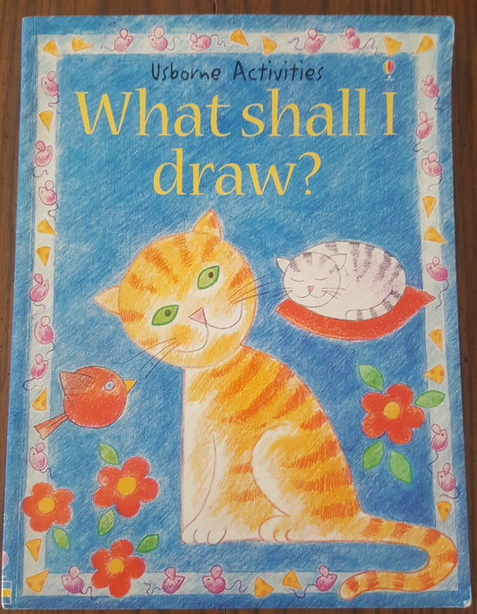 Usborne What Shall I Draw?