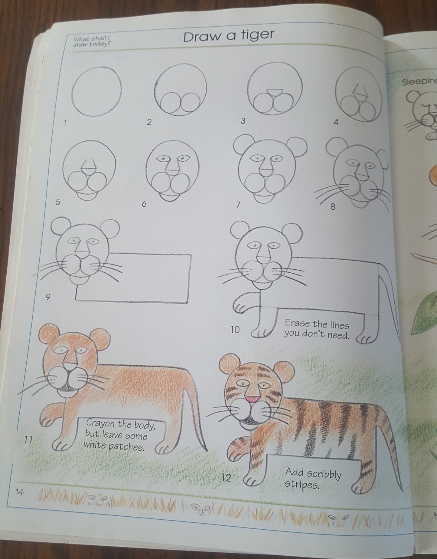 Usborne What Shall I Draw?