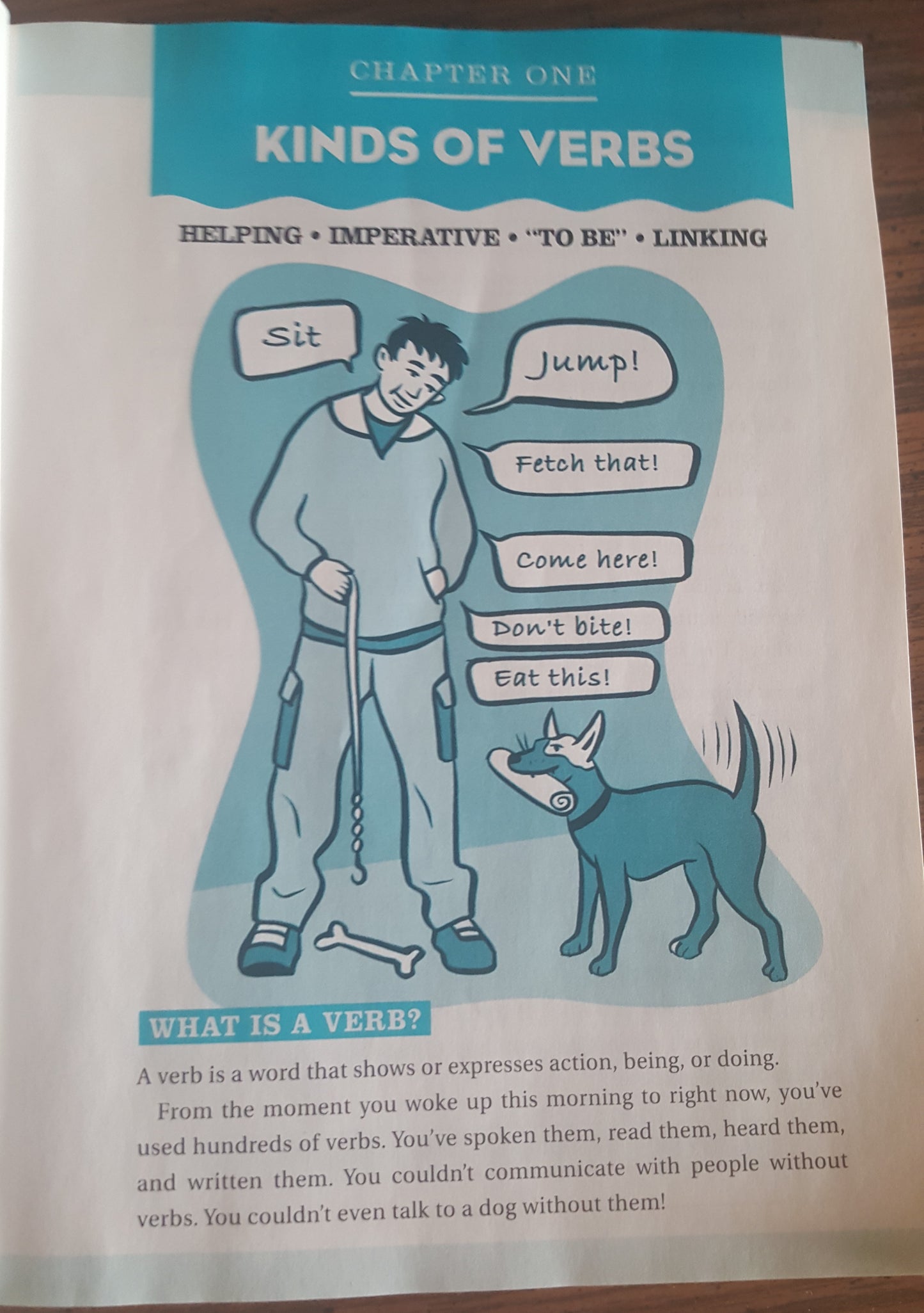 Verbs, Verbs, Verbs