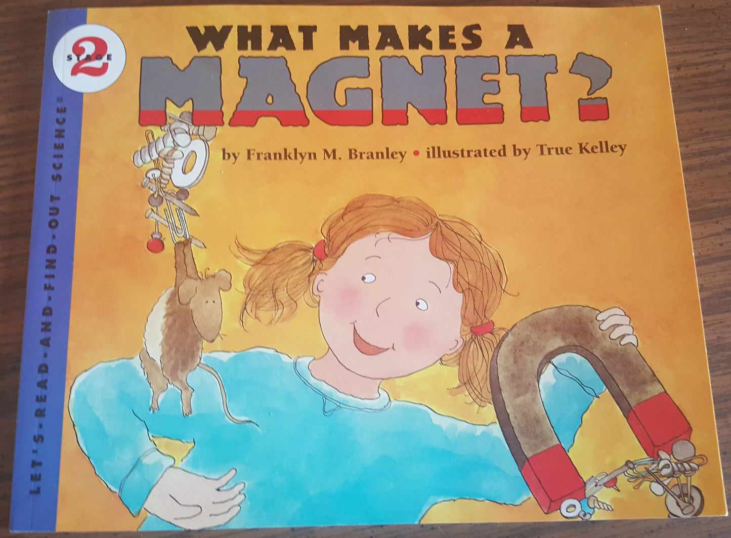 What Makes a Magnet?