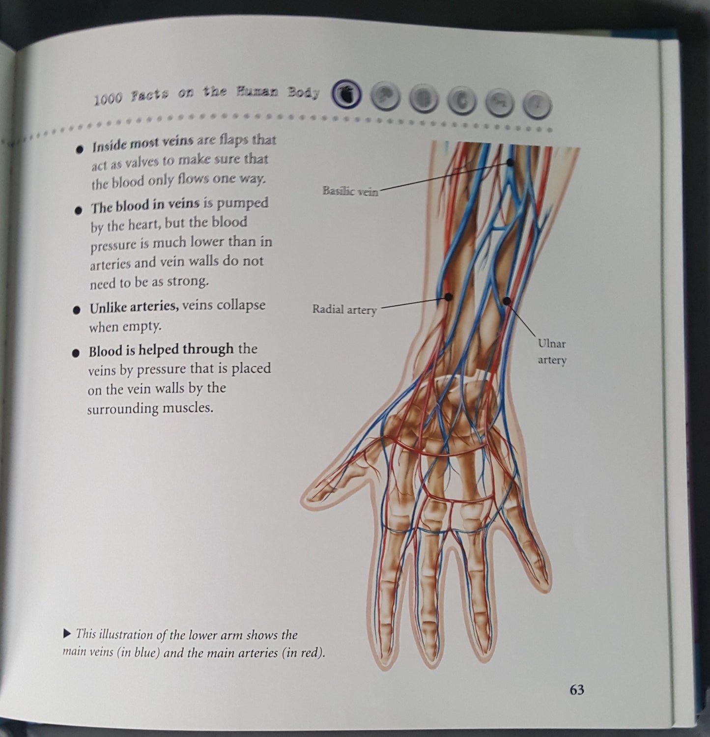 1000 Facts on Human Body