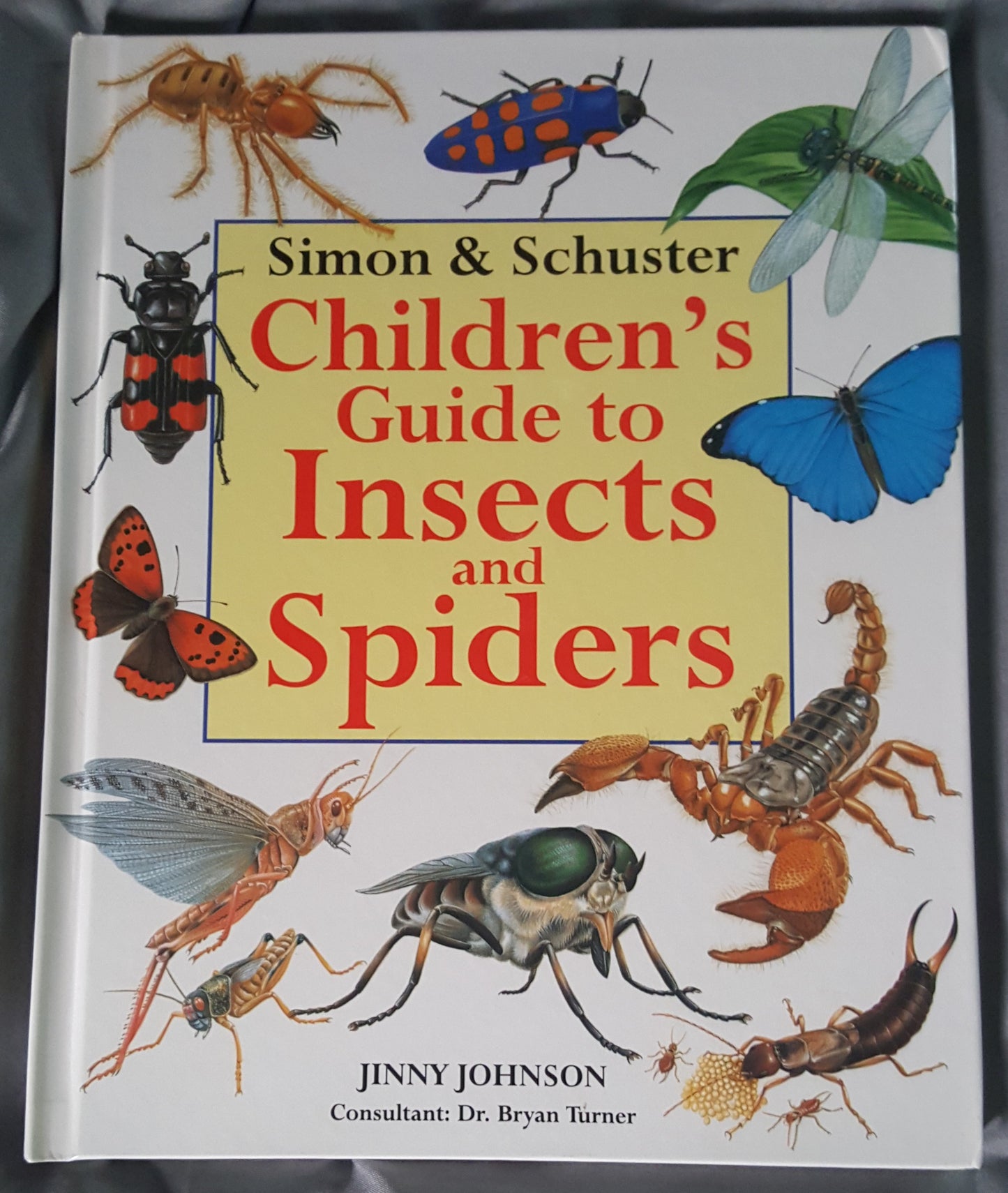 Children’s Guide to Insects and Spiders