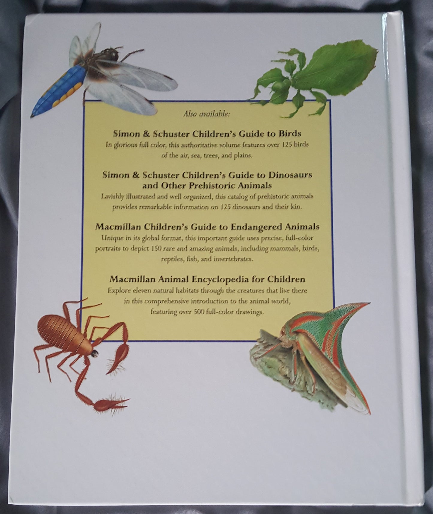 Children’s Guide to Insects and Spiders