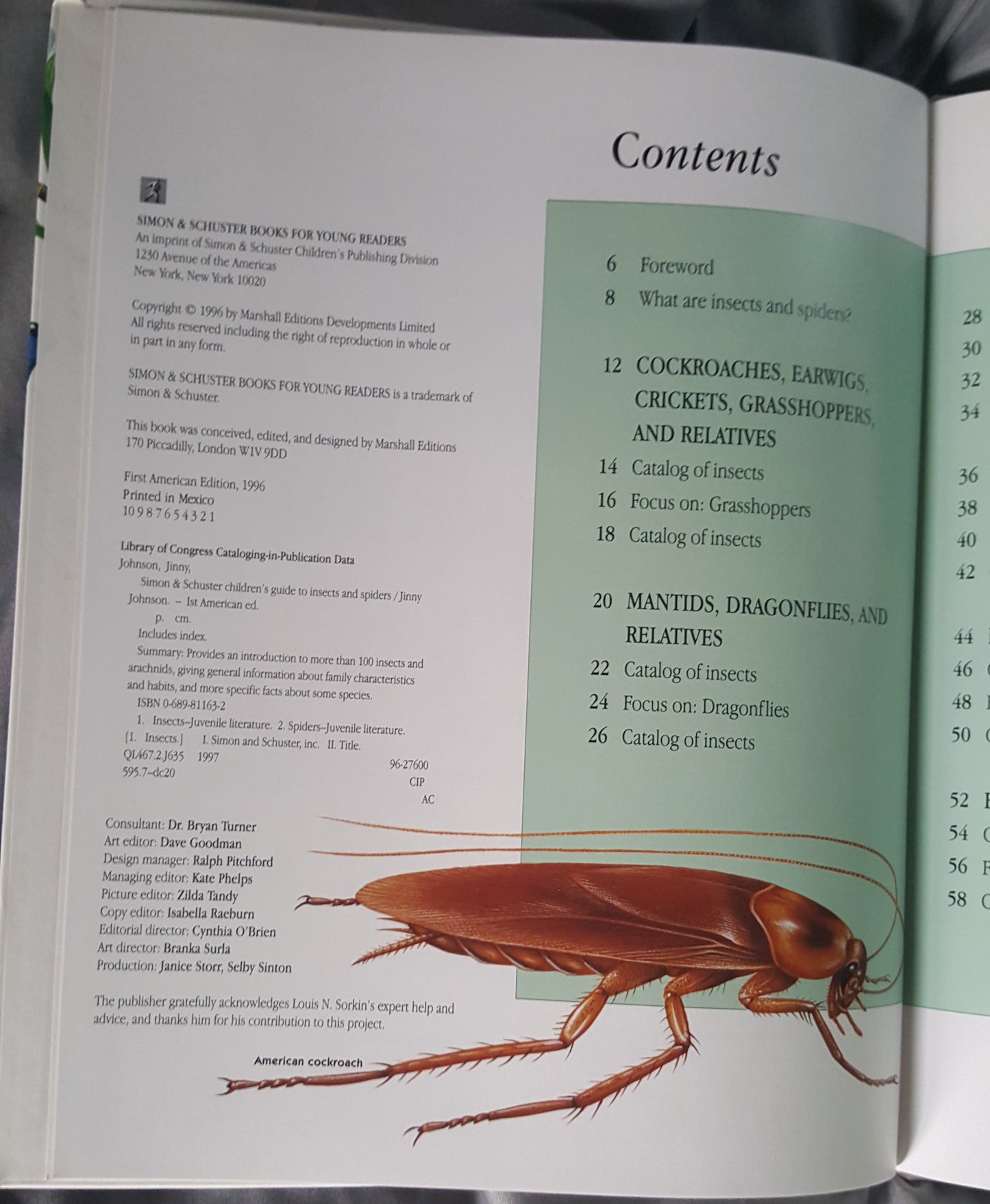 Children’s Guide to Insects and Spiders