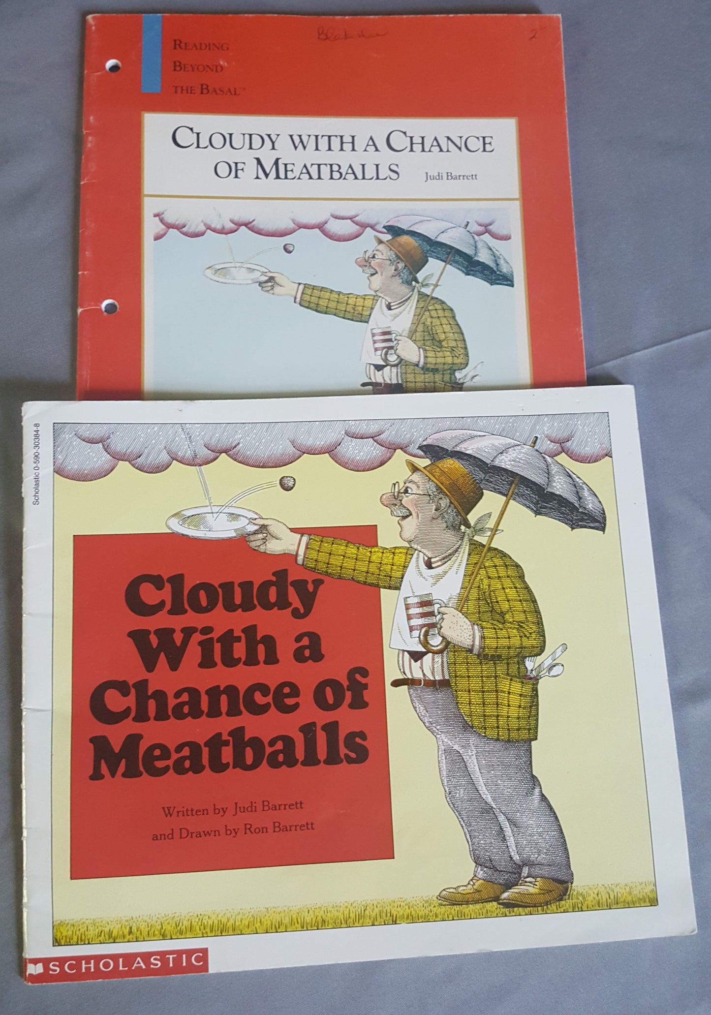 Cloudy With a Chance of Meatballs reader and study guide