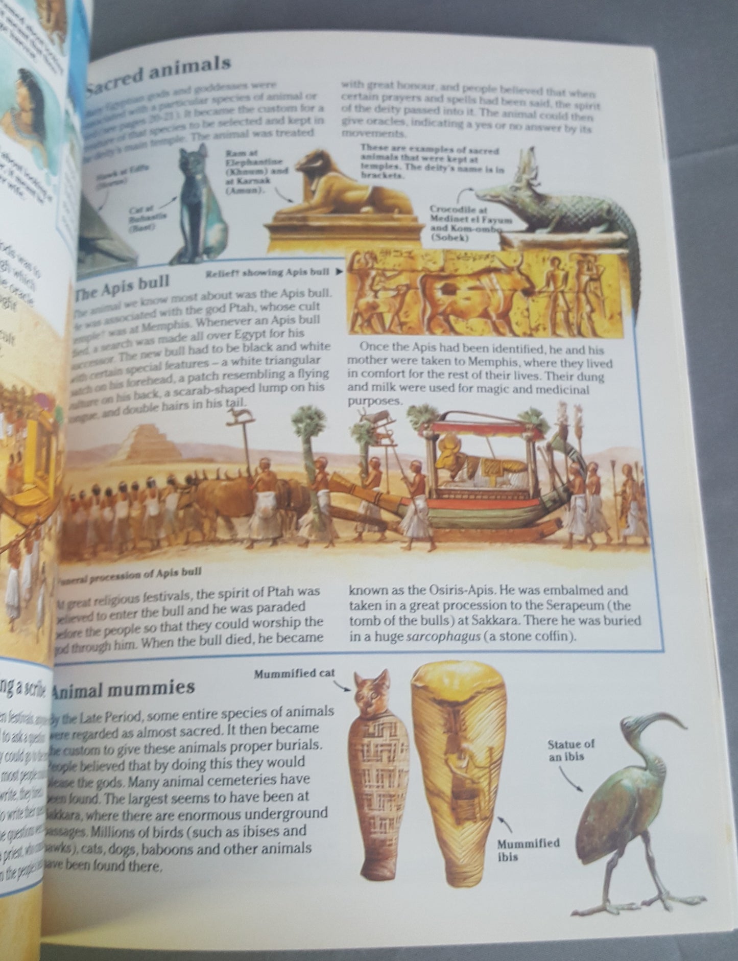 Usborne Illustrated World History Early Civilization