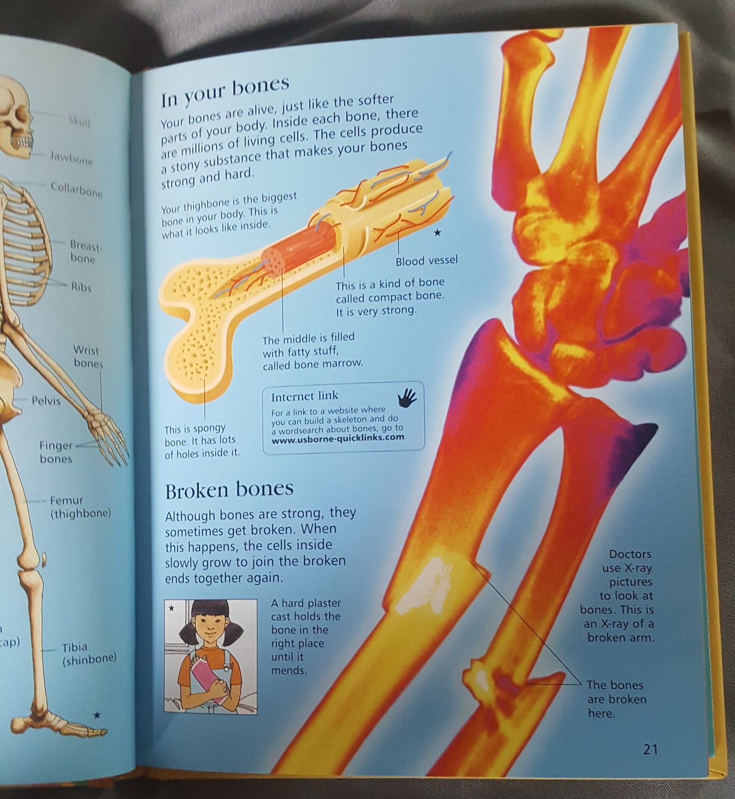 Usborne Little Encyclopedia of the Human Body