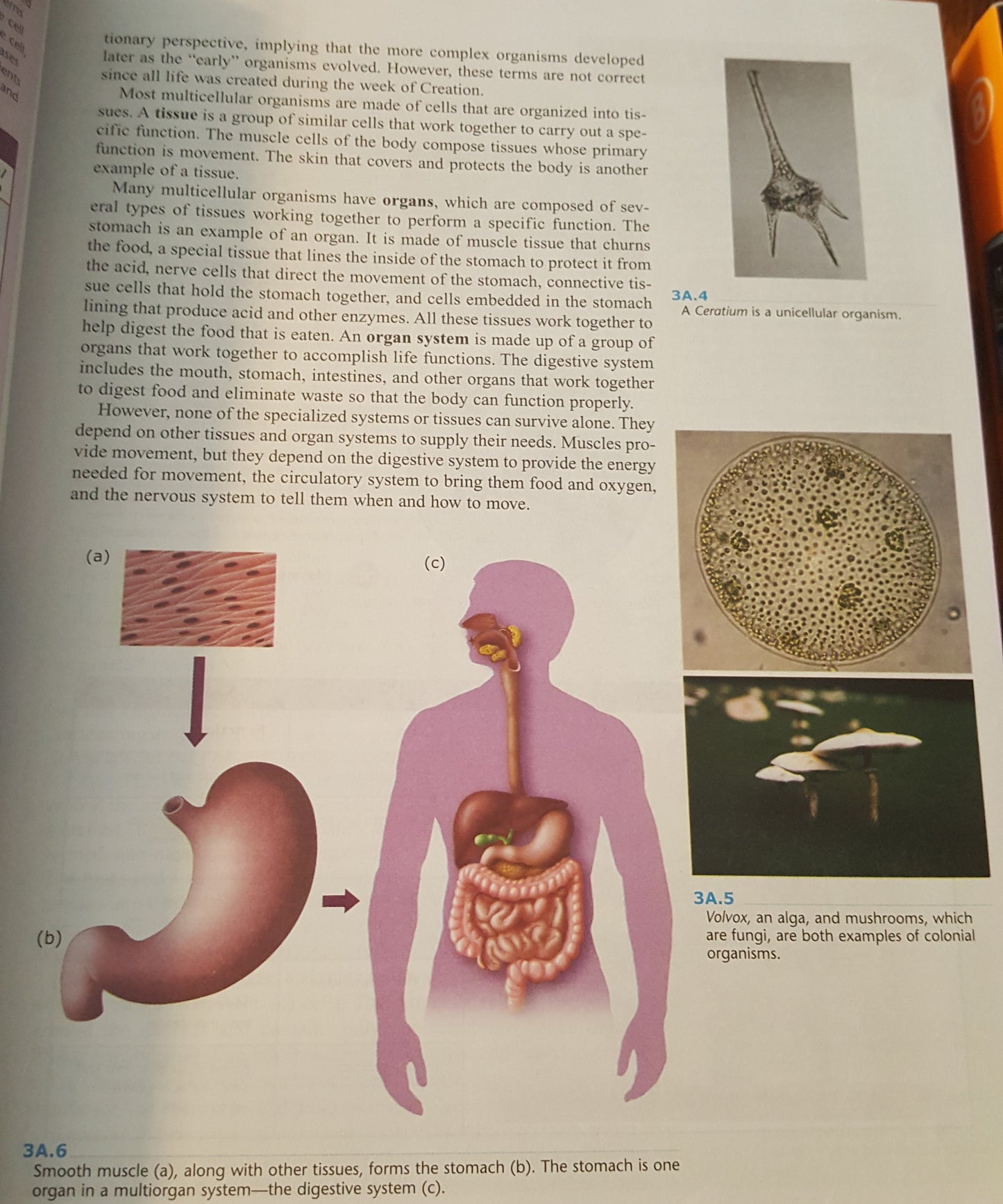 BJU Biology 2 book set