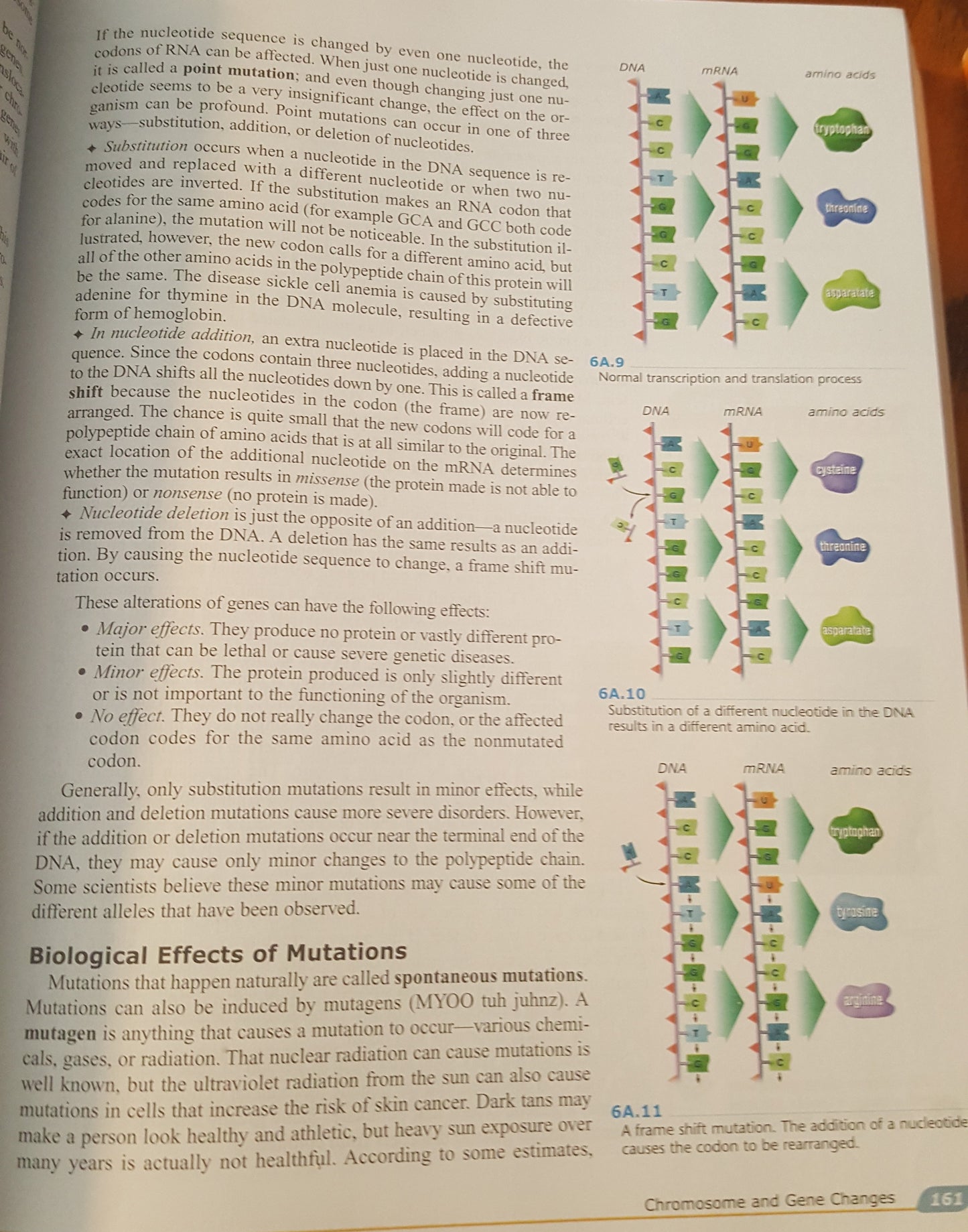 BJU Biology 2 book set