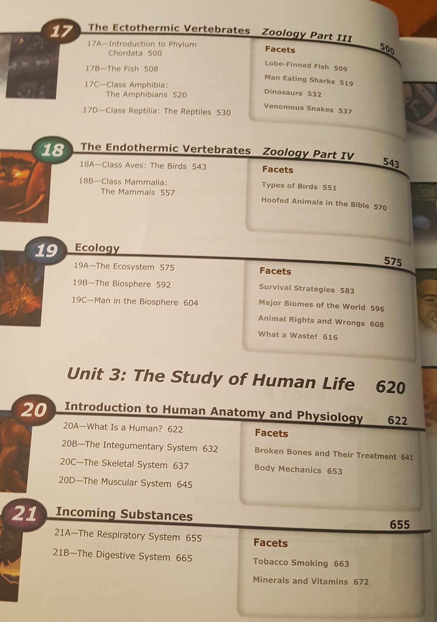 BJU Biology 2 book set