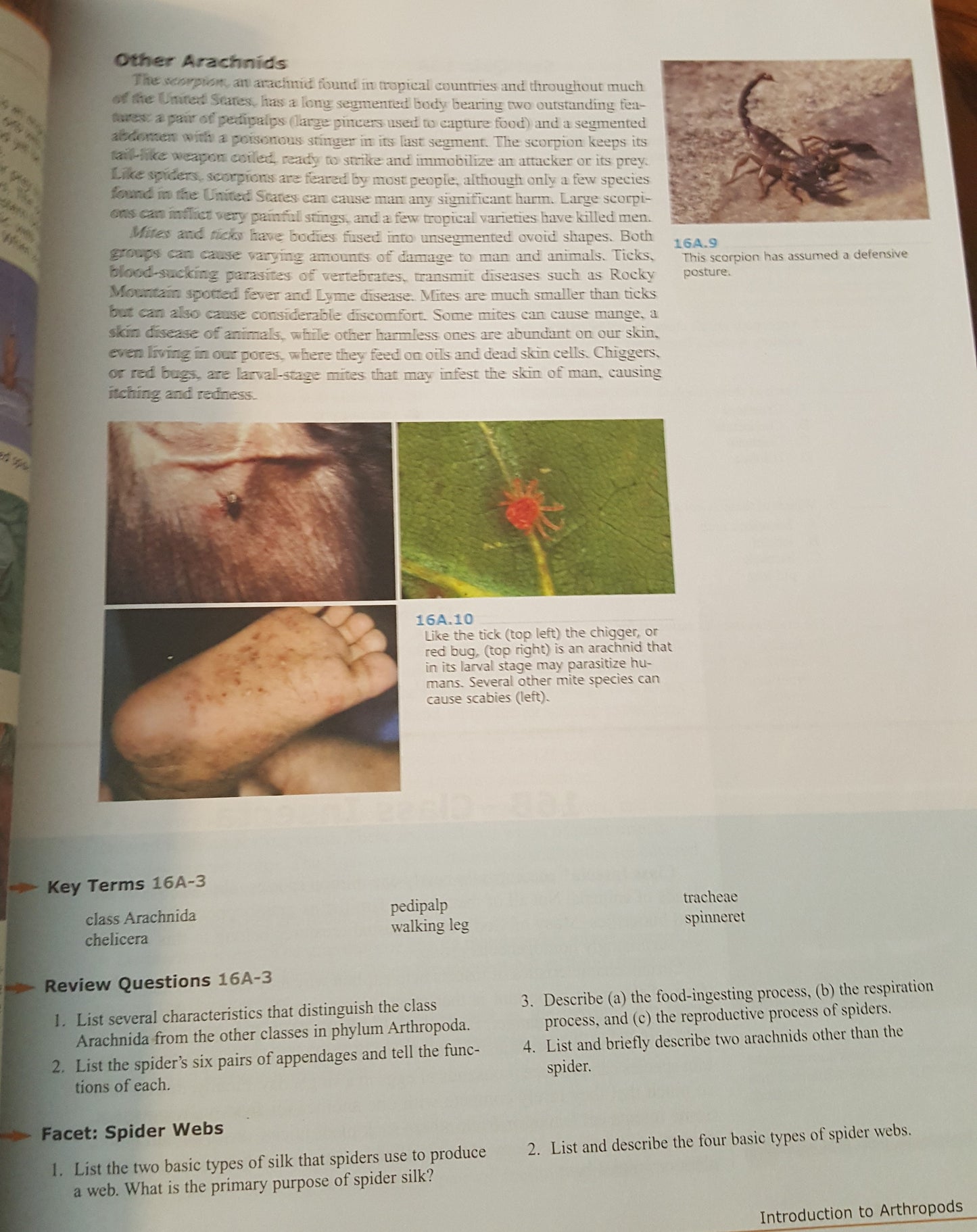 BJU Biology 2 book set