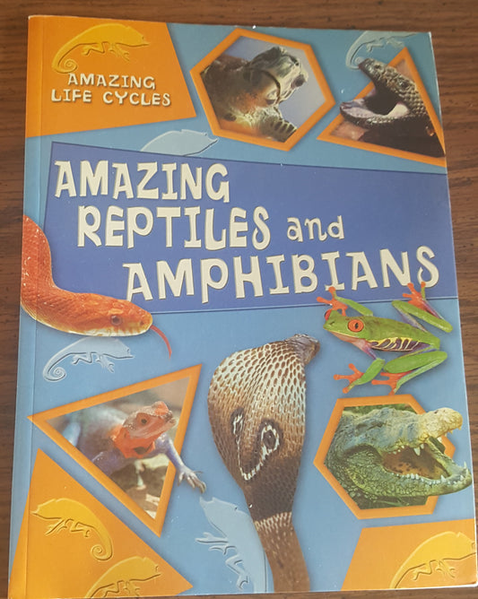 Amazing Reptiles and Amphibians
