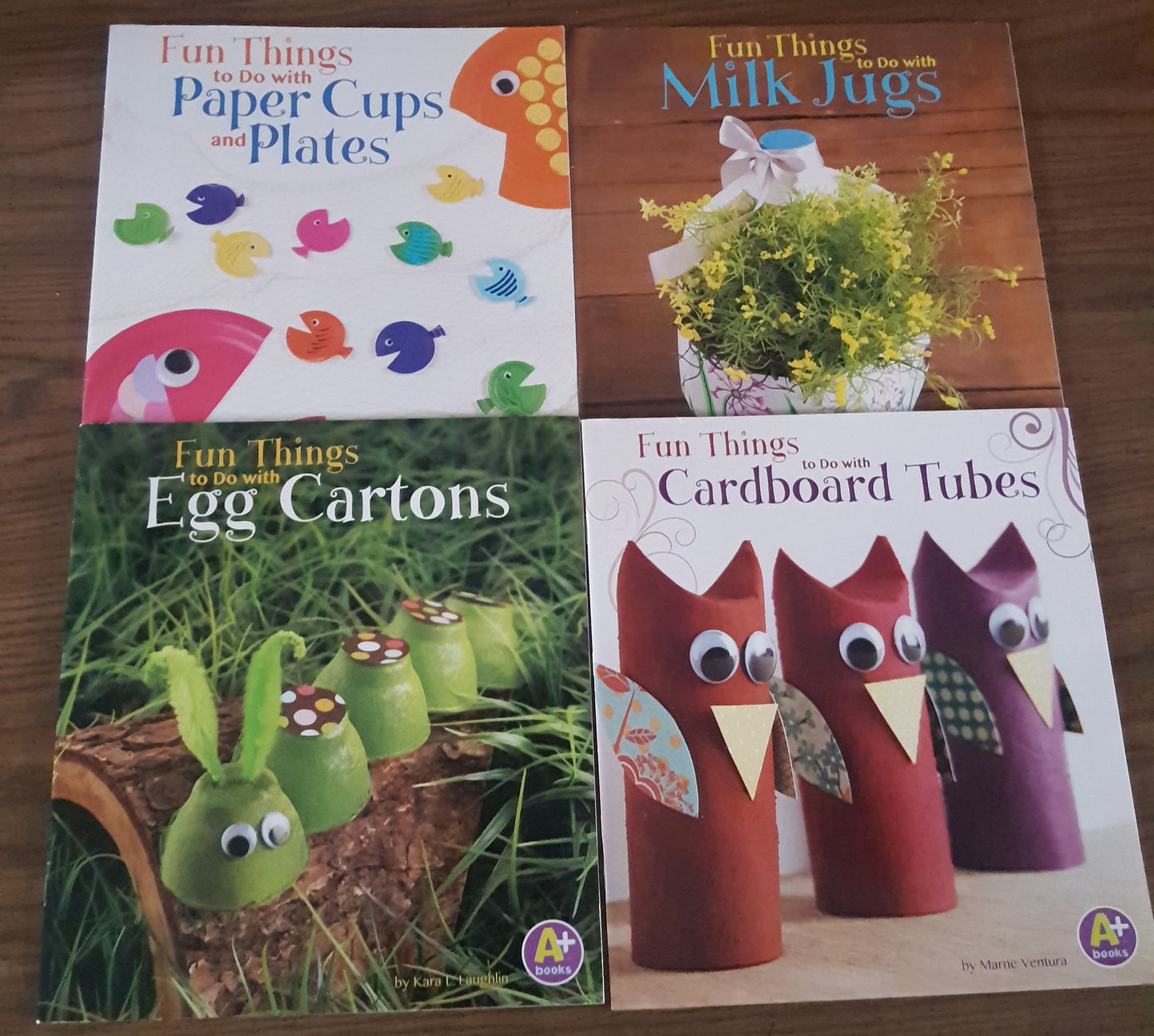Fun Things to Do with….4 book set