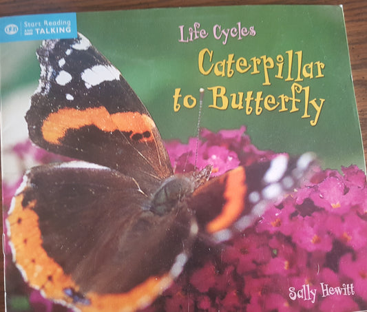 Life Cycles Caterpillar to Butterfly